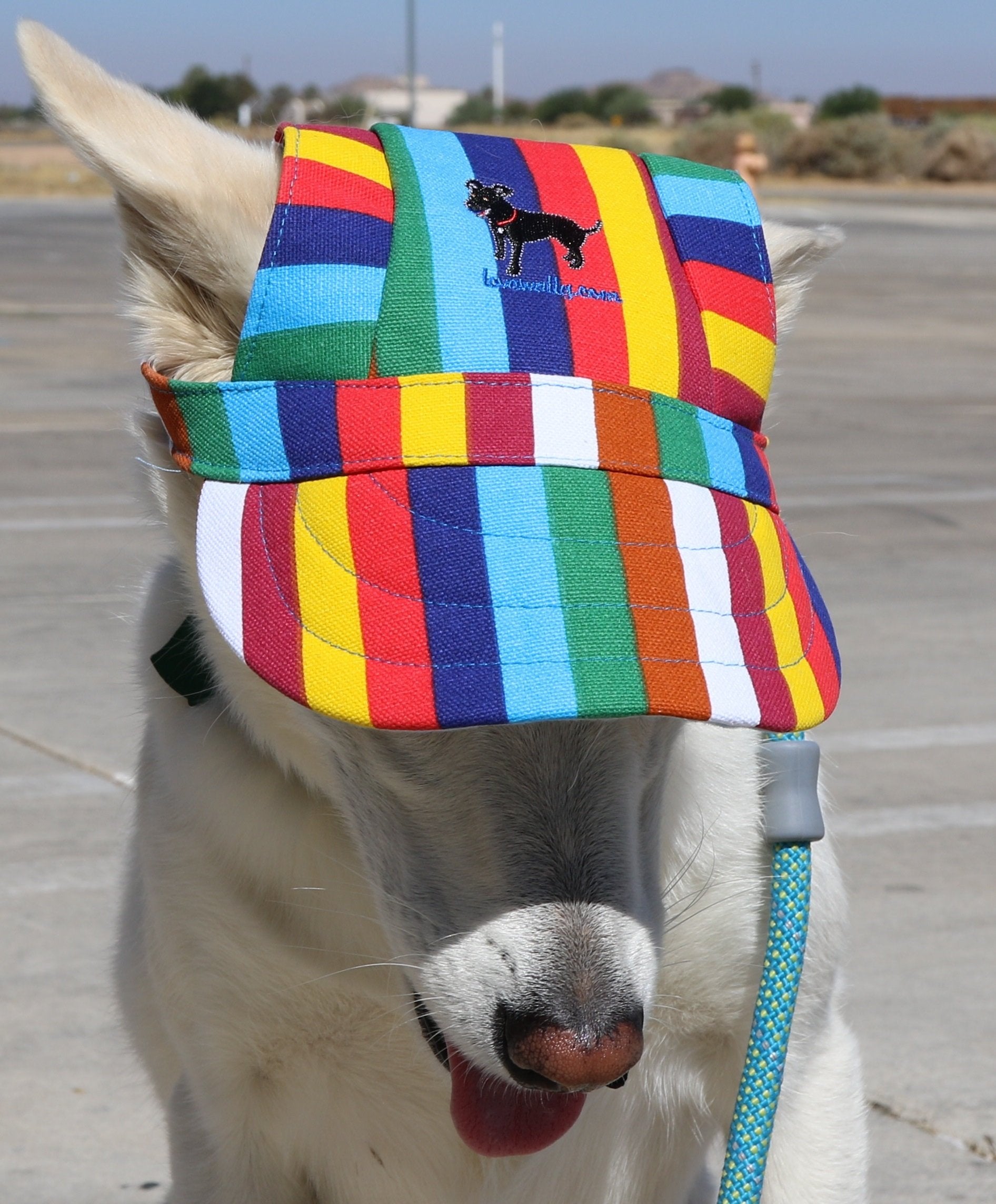 Lovewally Dog Outdoor Pet Hat Adjustable And Colors (Small, Rainbow)