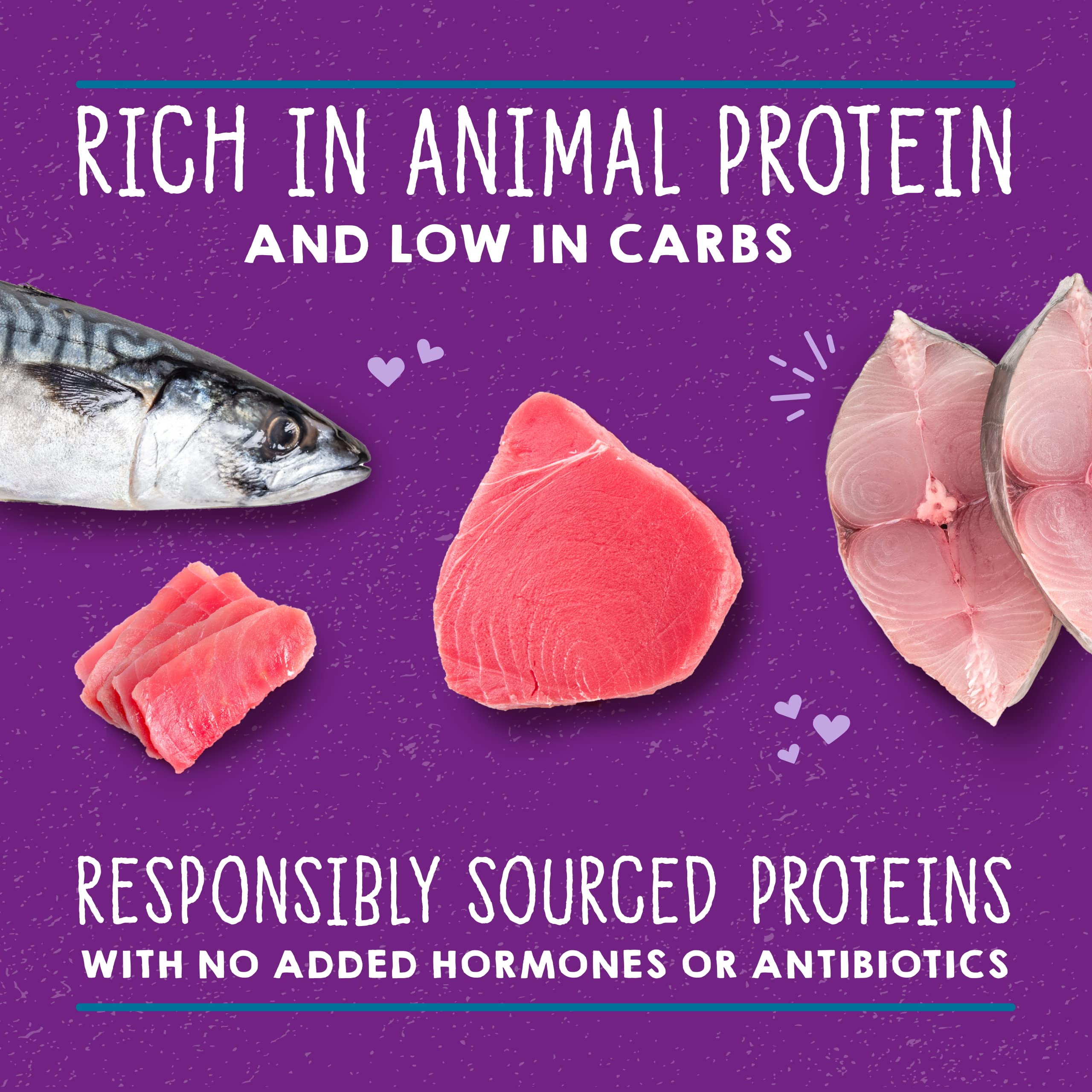 Stella & Chewy s Carnivore Cravings Savory Shreds - Wet Cat Food - High-Moisture Formula with Wild-Caught Tuna & Mackerel - Per