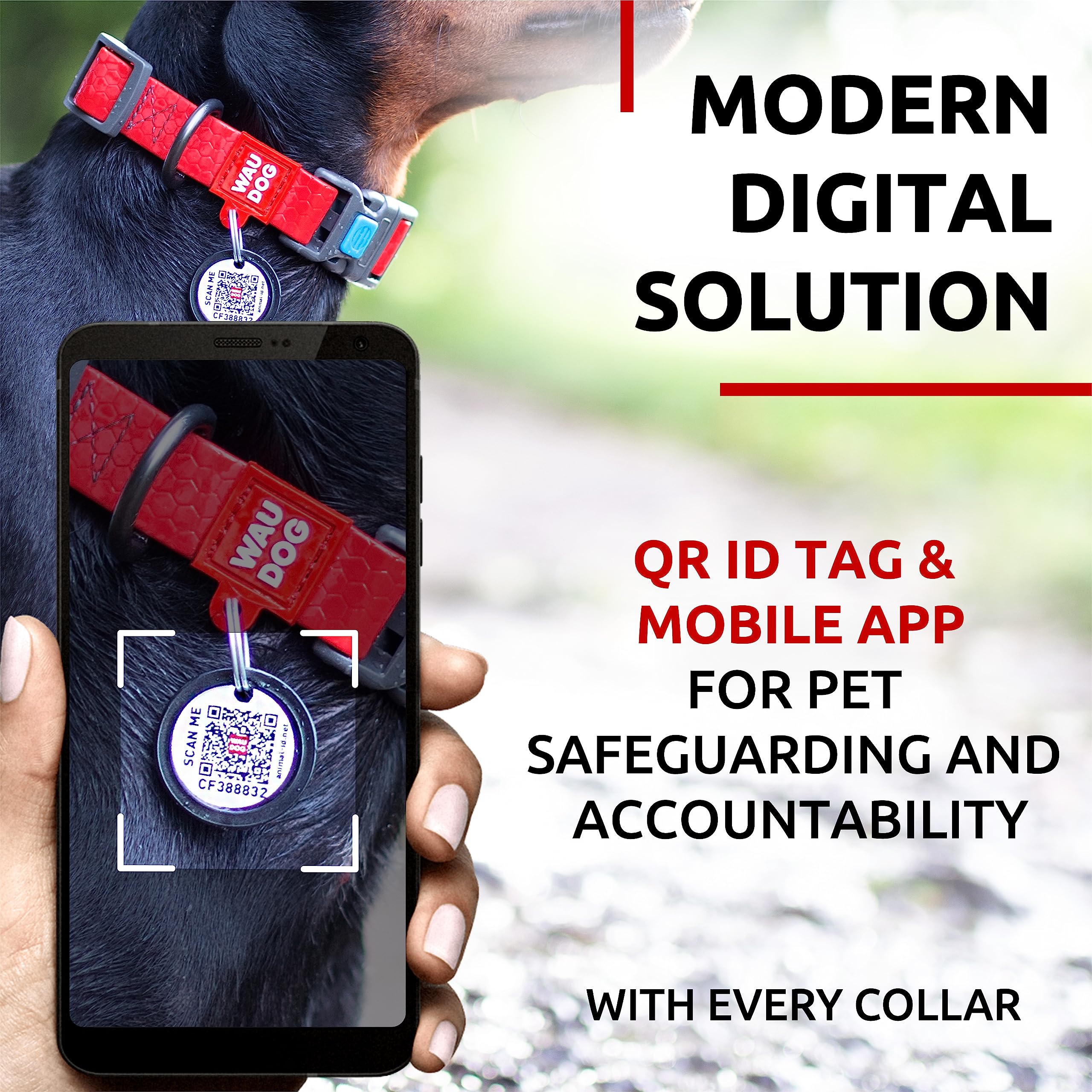 Waterproof Dog Collar - Adjustable Dog Collar For Large Dogs, Small And Medium Dogs - Breakaway Dog Collar Waterproof With Plast