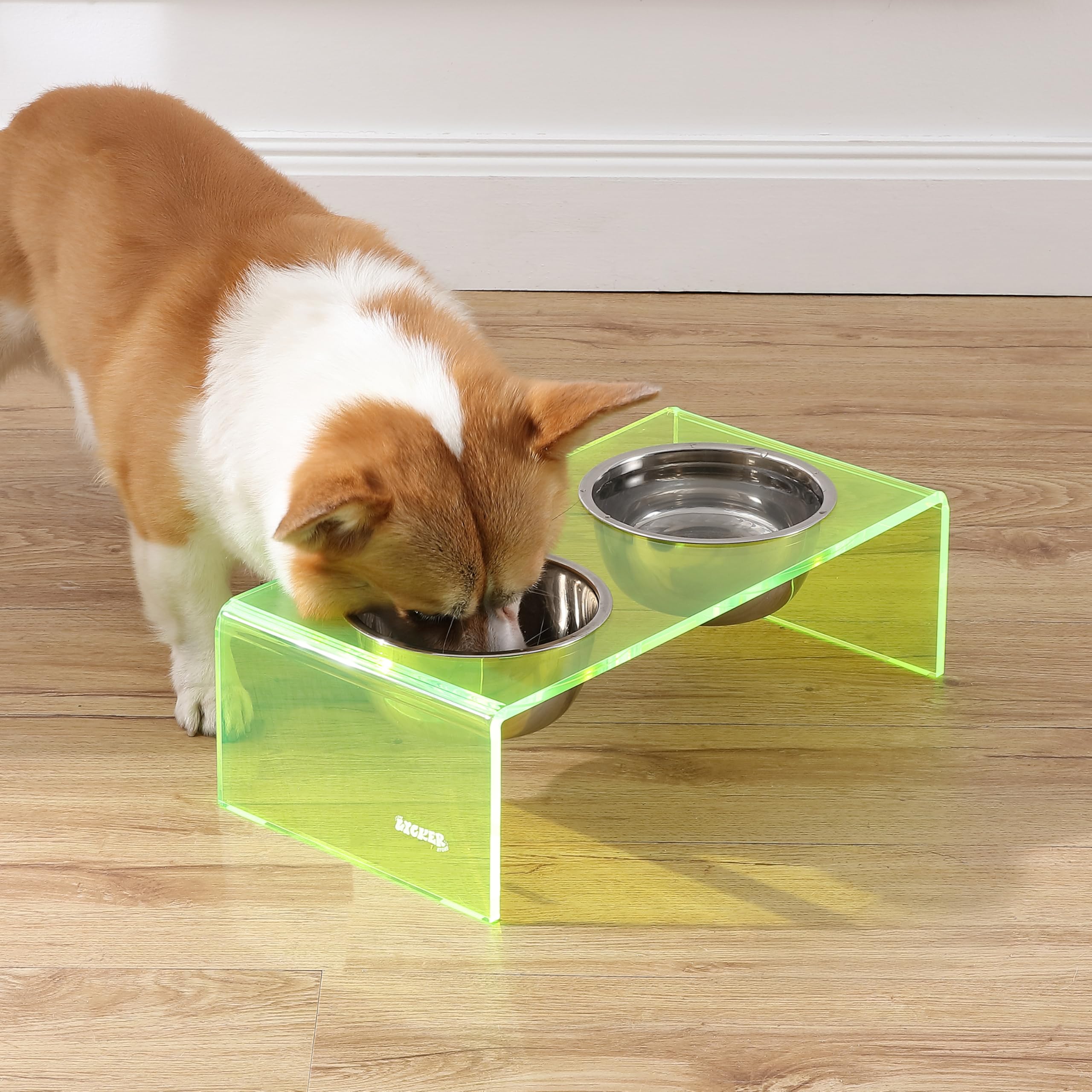 The LICKER Store DBL2000G Keaton 5 Small/Medium Modern Acrylic Rectangular Elevated Pet Feeder with 20oz 2-Stainless Steel Bowls