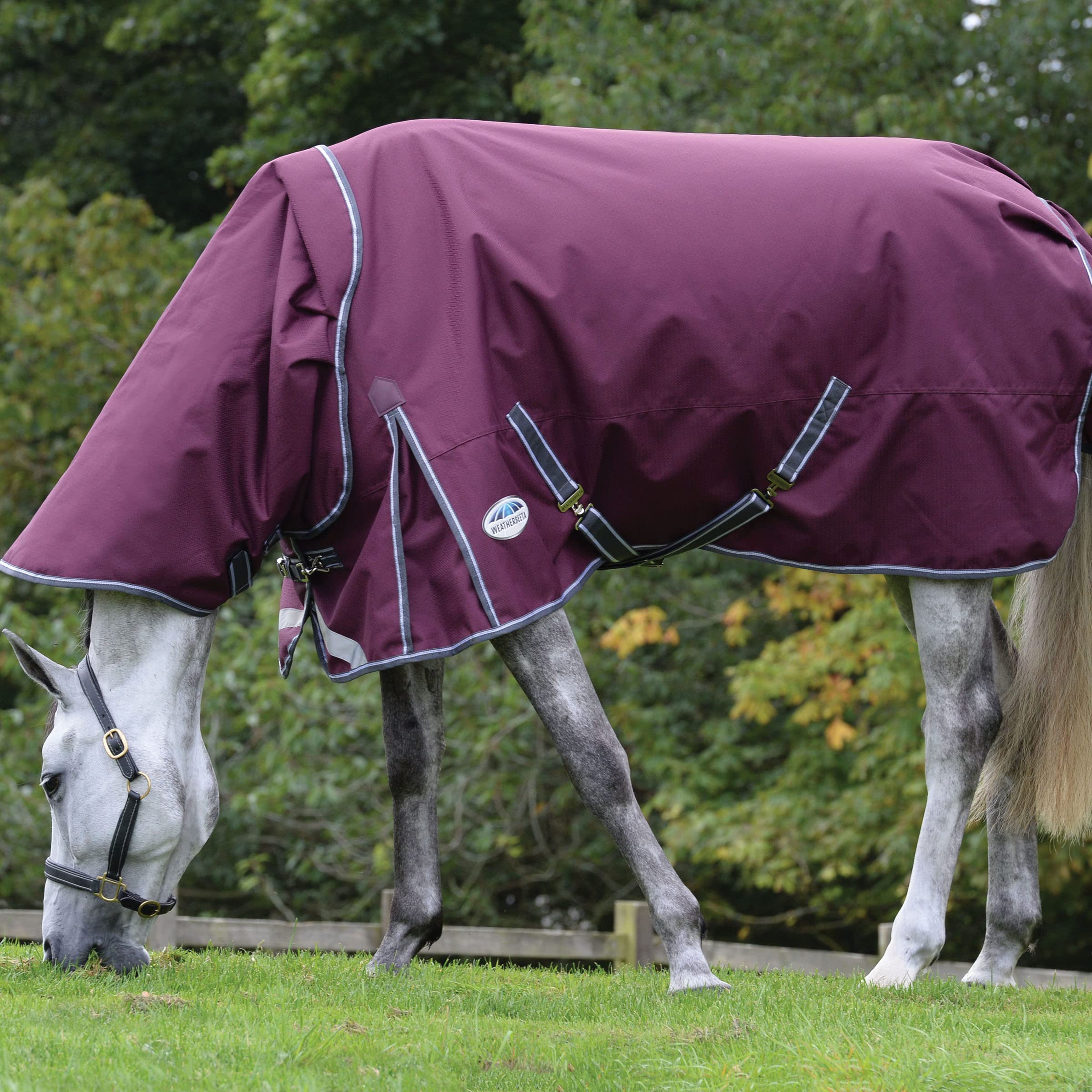 Weatherbeeta Comfitec Plus Dynamic Ii Detach-A-Neck Medium, Maroon/Grey/White, 54''