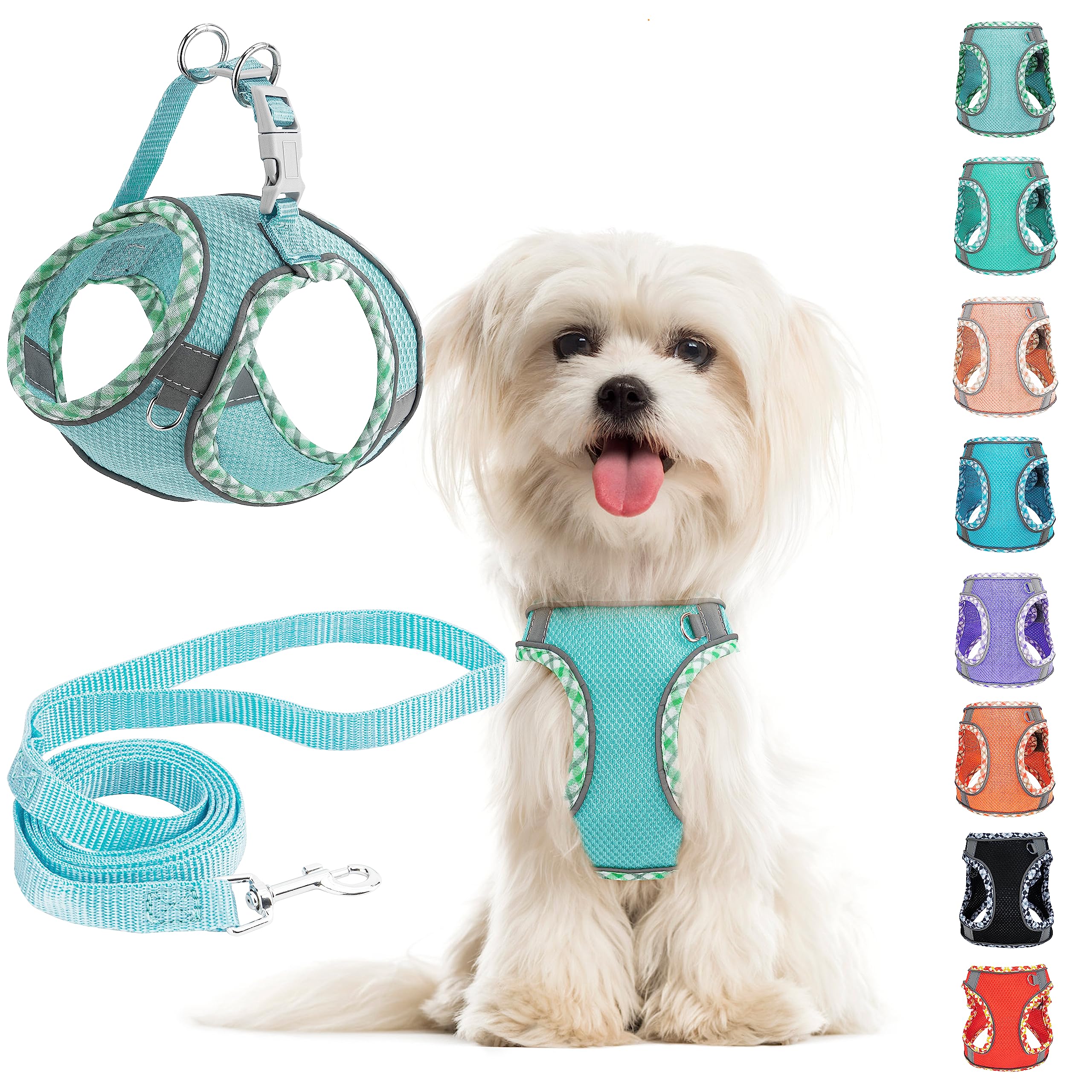 Small Dog Harness & Leash Set - No Pull Adjustable Reflective Breathable Mesh Step-in Harness for Extra Small/Small Medium Dogs 