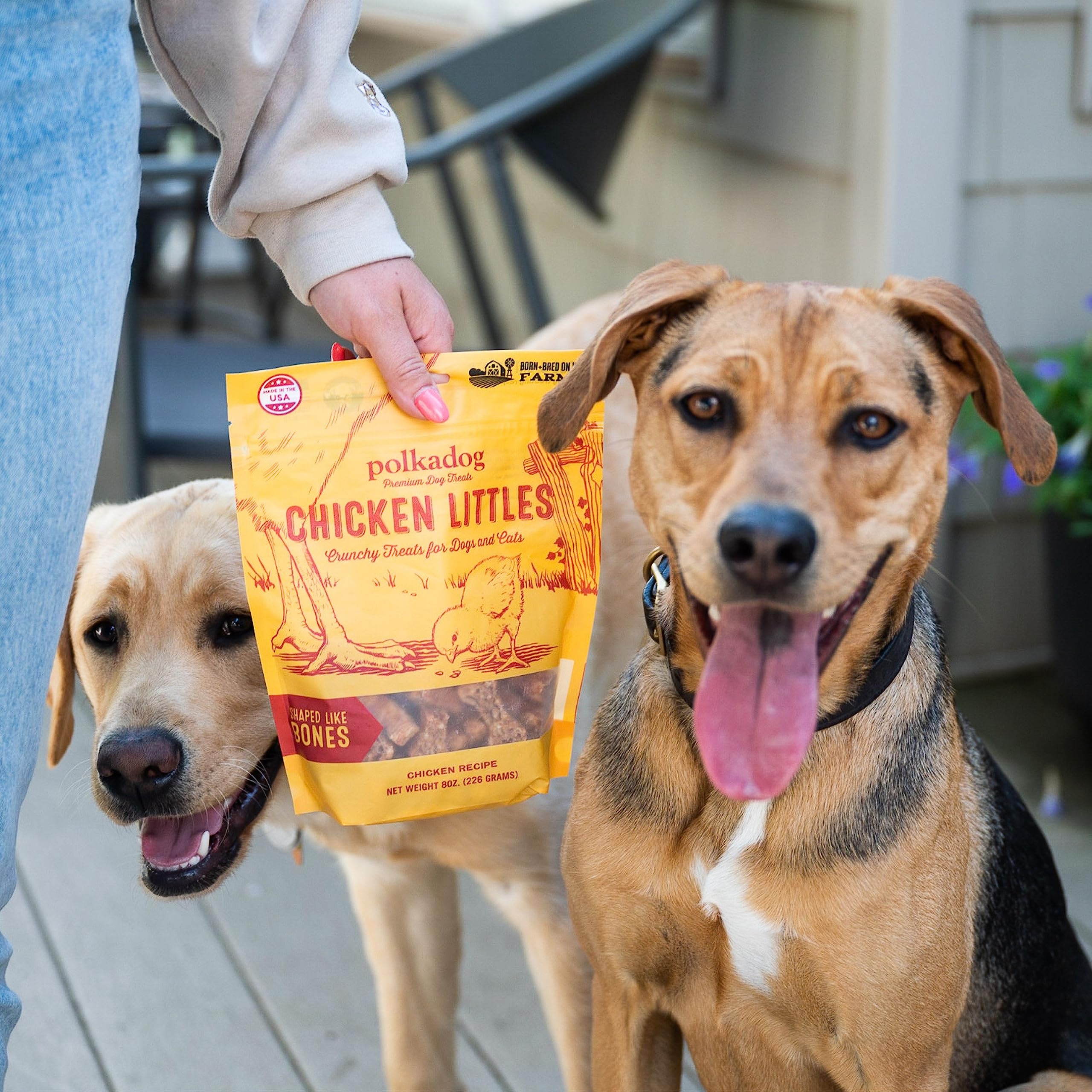 Polkadog Chicken Littles Bone Shaped Dog Treats - Crunchy, All Natural, Limited Ingredient Healthy Treats. Handcrafted & Made in