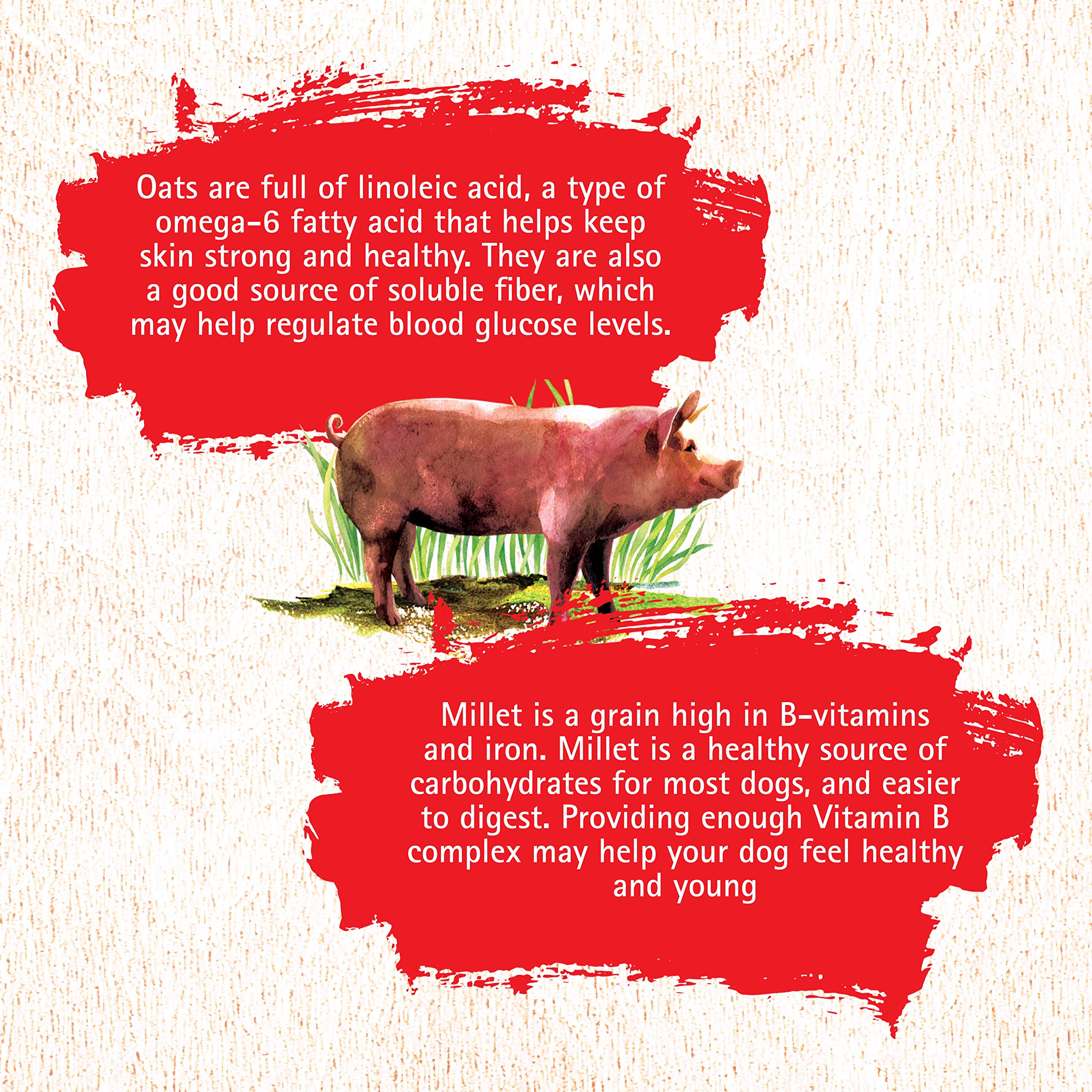 Inception Dry Dog Food Pork Recipe - Complete and Balanced Dog Food - Meat First Legume Free Dry Dog Food - 4 lb. Bag