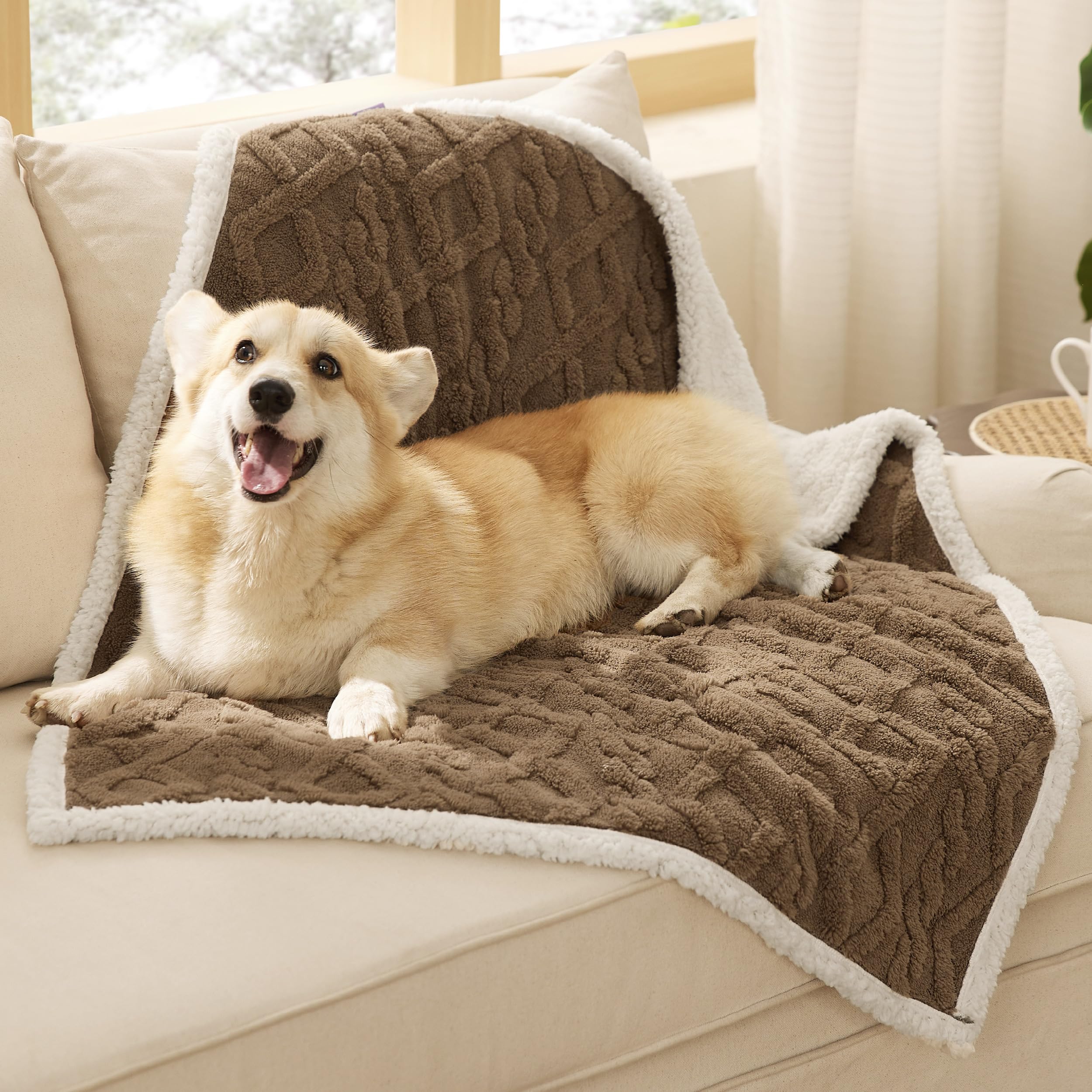 Bedsure Waterproof Dog Blankets For Medium Dogs - Pet Blanket For Couch Protector Washable, Premium Jacquard Coral Fleece Cat Th