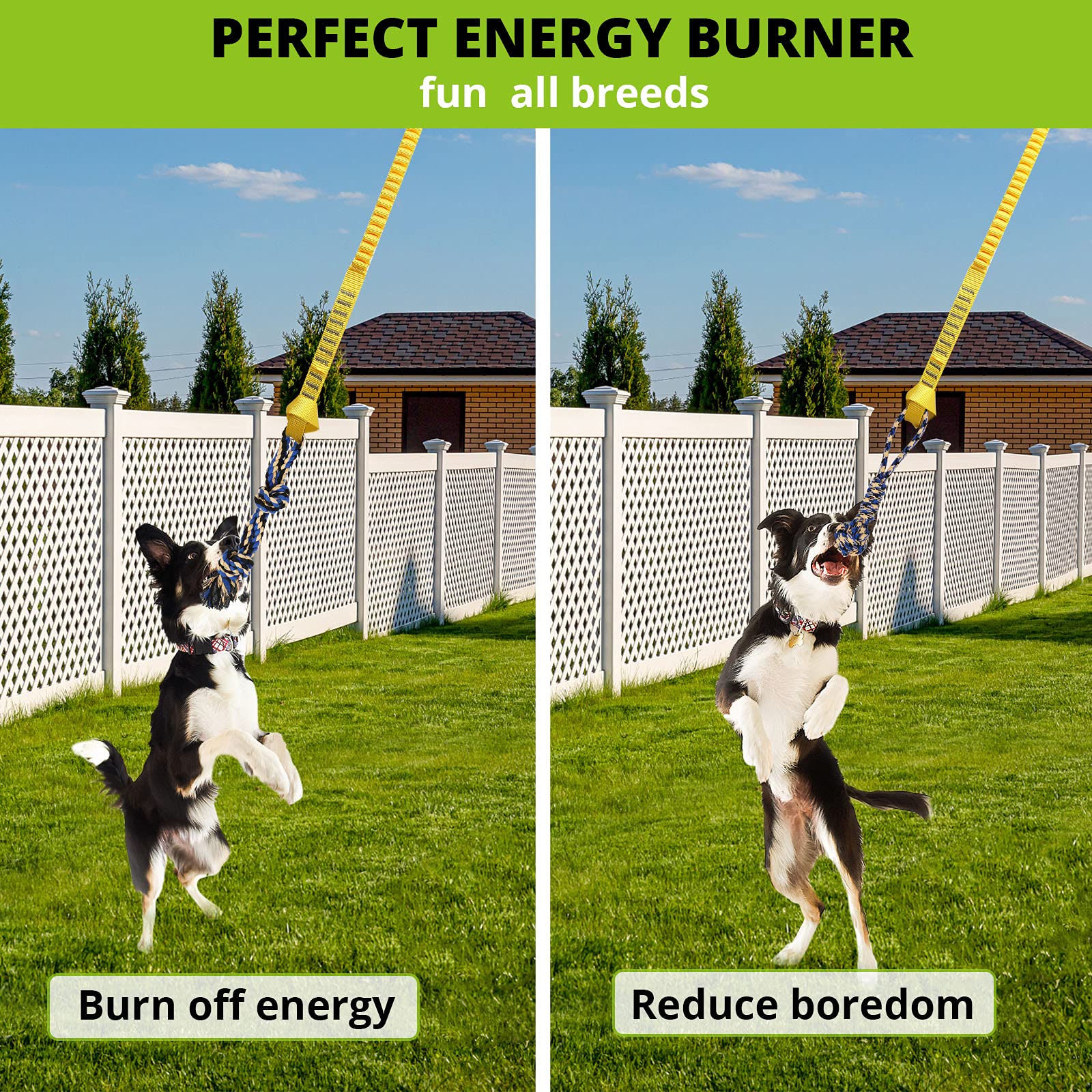 Dog Hanging Bungee Tug Toy: Interactive Tether Tug-of-War for Pitbull & Small to Large Dogs to Exercise and Fun Solo Play - Dura
