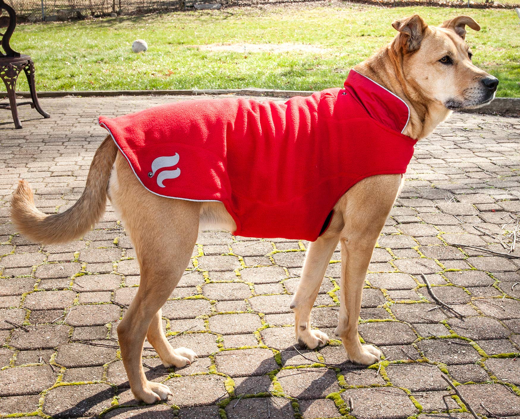 DOGHELIOS Lotus-Rusher Waterproof 2-in-1 Pet Dog Jacket Coat with Removable Polar Fleece Lining w/ Blackshark technology, Larg
