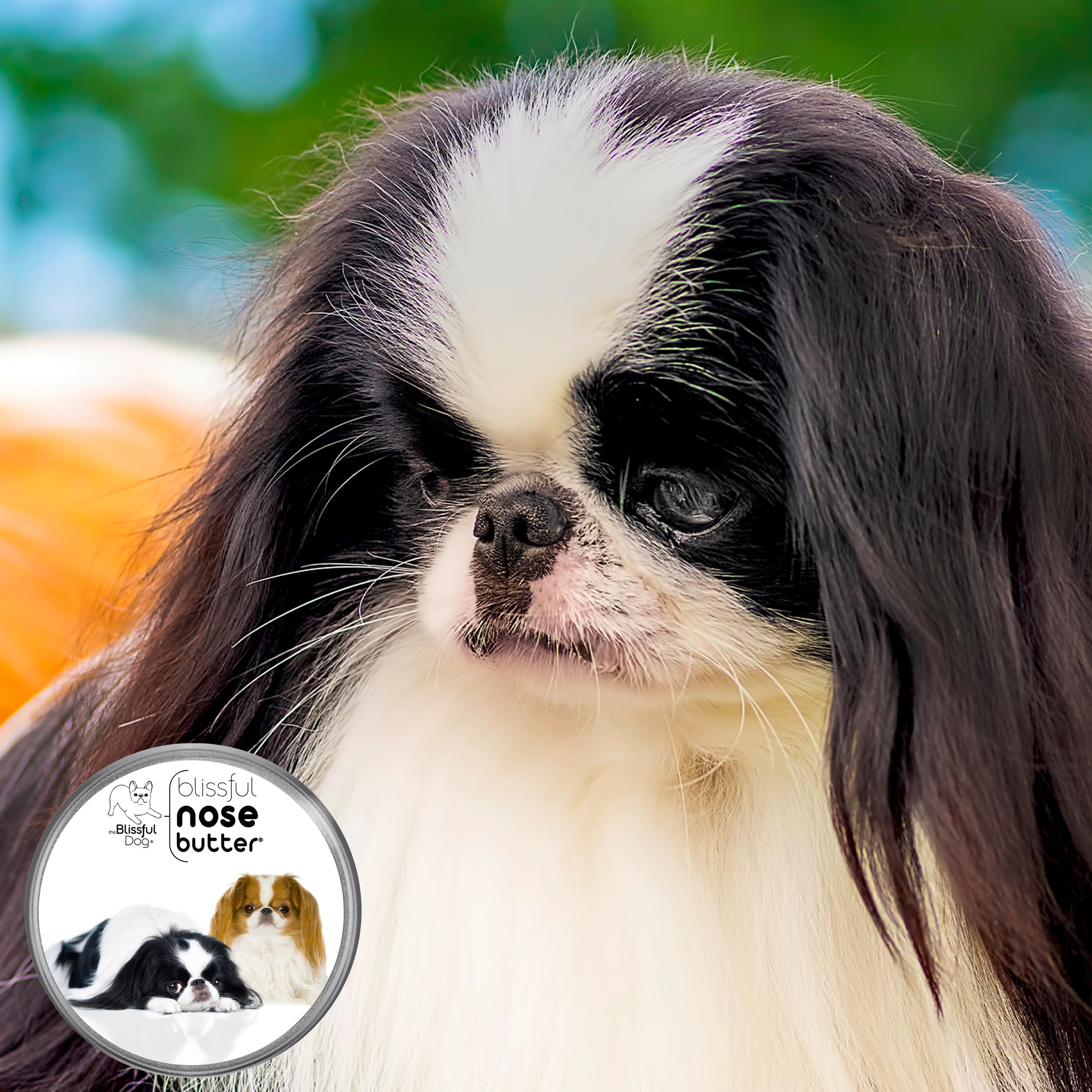 The Blissful Dog Japanese Chin Unscented Nose Butter - Dog Nose Butter, 4 Ounce