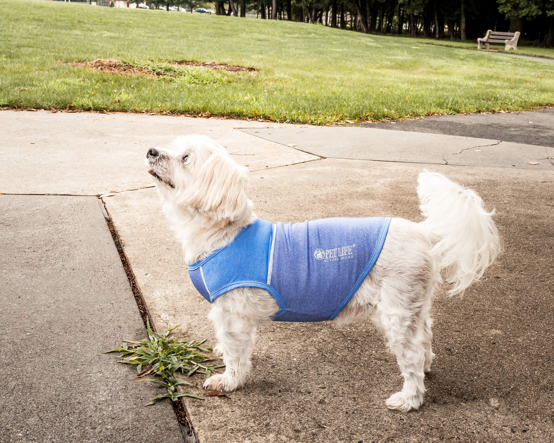 Pet Life Active 'Aero-Pawlse' Heathered Quick-Dry And 4-Way Stretch-Performance Dog Tank Top T-Shirt(D0102H7Lu5A.)