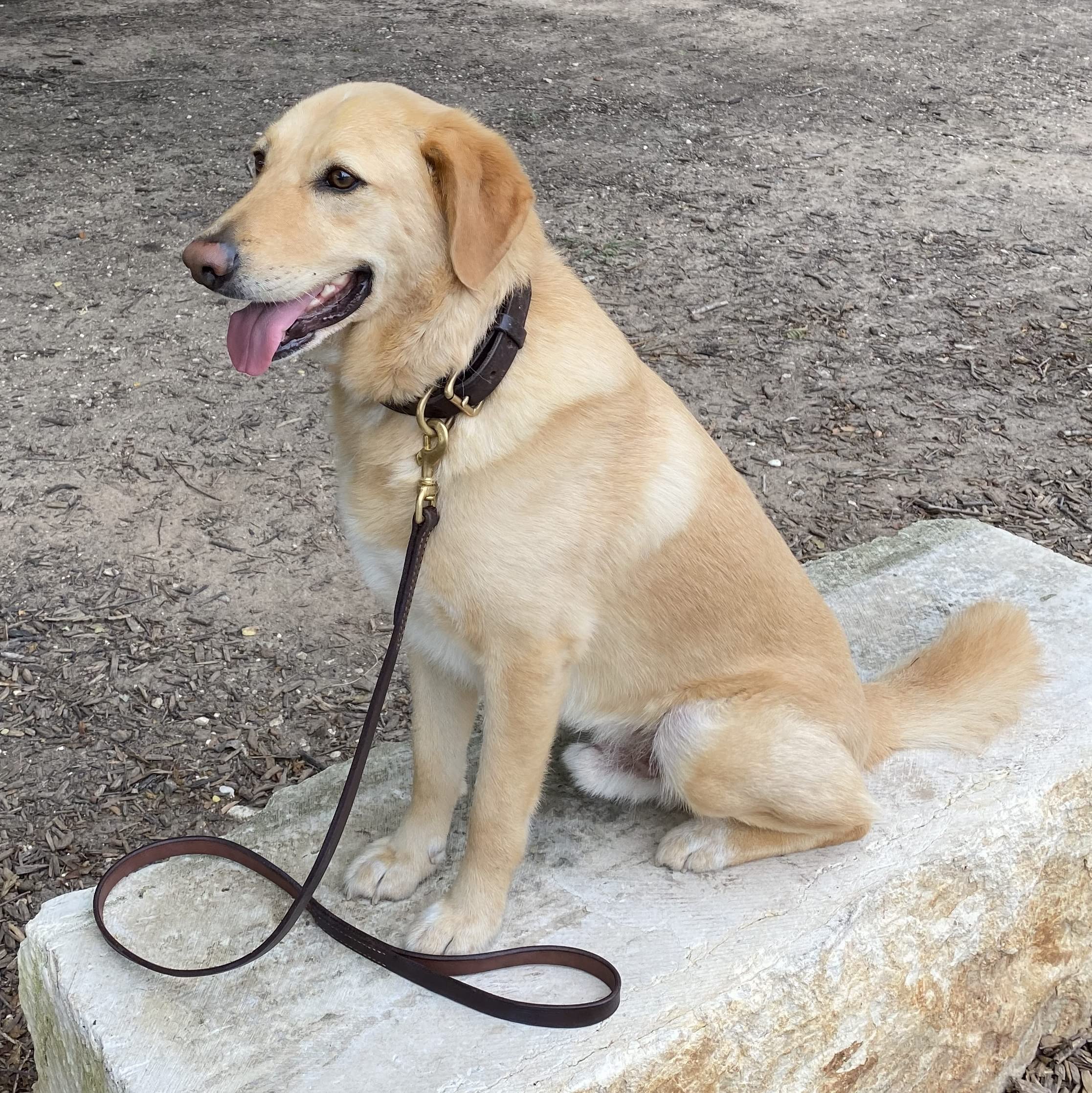 Handmade Heavy Duty Leather Dog Leash, Dog Training Lead For Walking Or Running, Leather Leash For Medium, Large, Big Dogs, Soft
