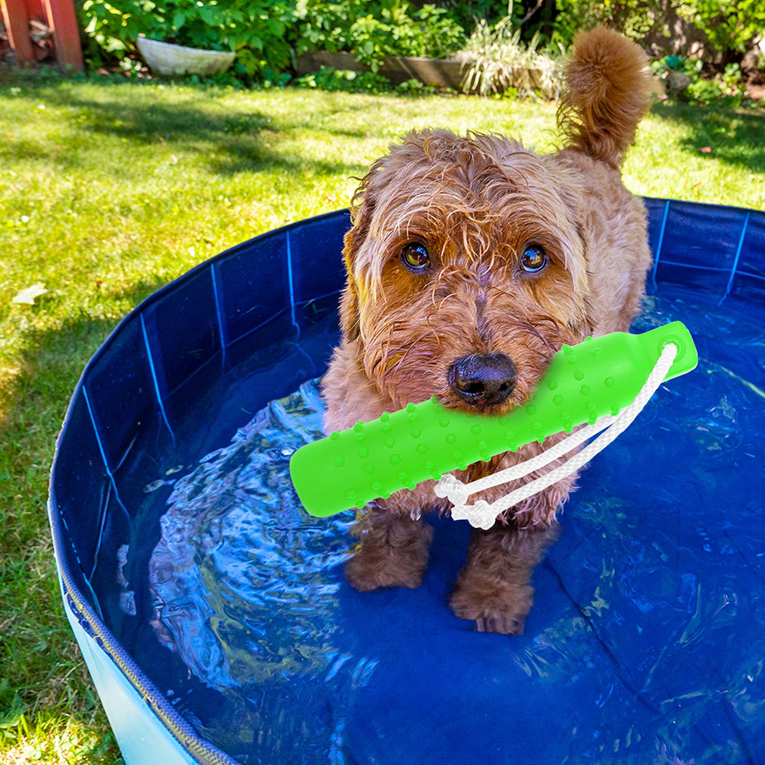Aticnech Dog Water Toy - Interactive Fetch Dog Toys Float On Water Pool For Training Retrieving Chasing Bumper Outdoor - 2 Pack Dog Toys With Rope For Small Medium Large Dog