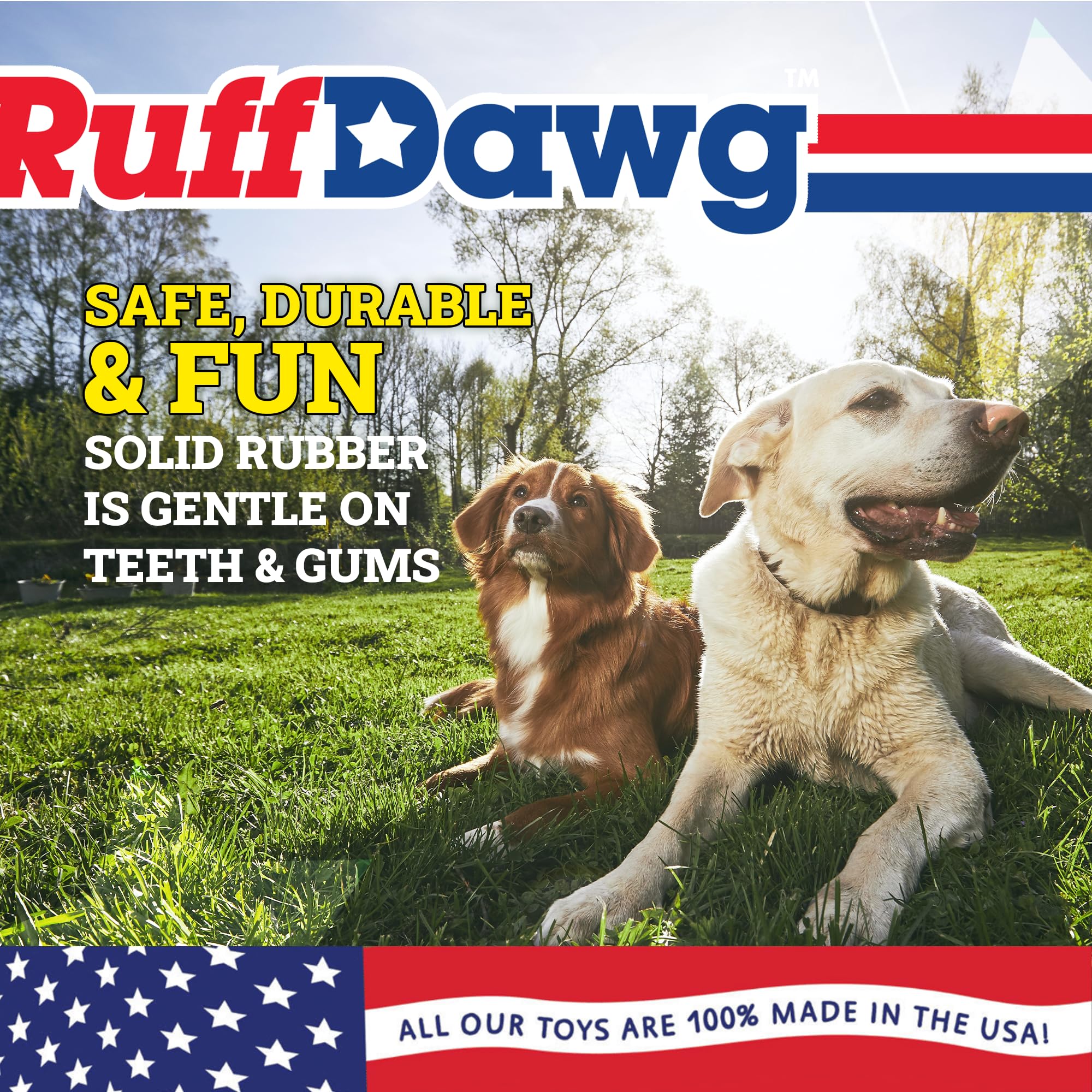 Ruff Dawg Flying Fish - Durable Floating Dog Toy For Water & Land Play - For All Breeds - Made In The Usa - Bright Neon Colors For Visibility And Fun