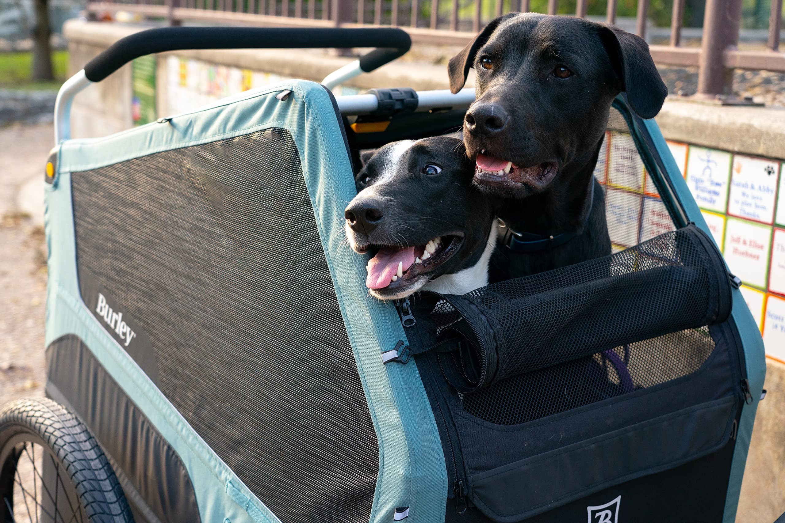 Burley Design XL Dog Bike Trailer & Stroller - Blue Spruce, Aluminum, Roomy Interior, Model 947107