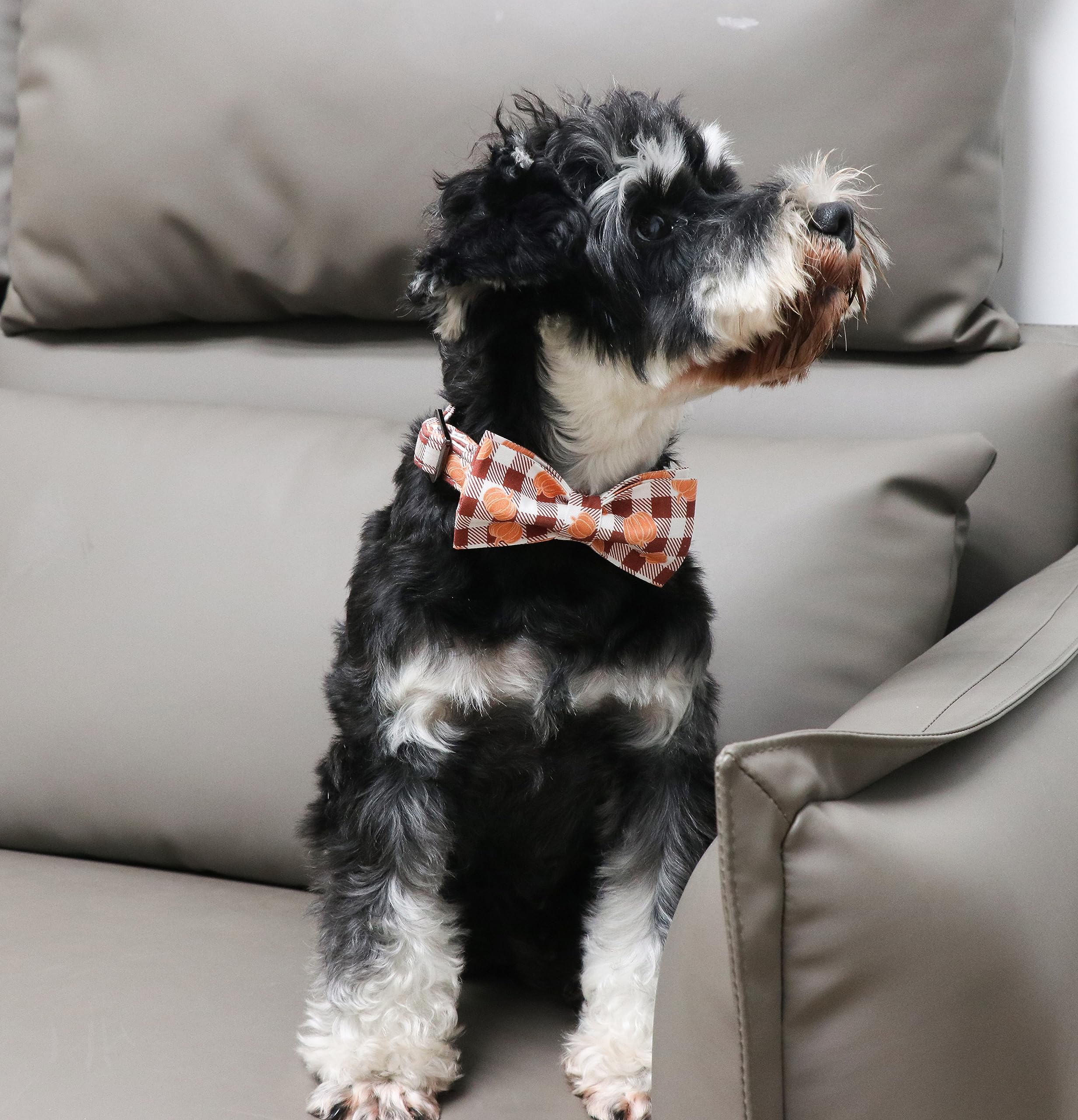 Unique Style Paws Cotton Dog Collar With Bow Halloween Pumpkin Plaid Dog Collar With Bow Tie For Small Medium Large Dogs Pets Gifts