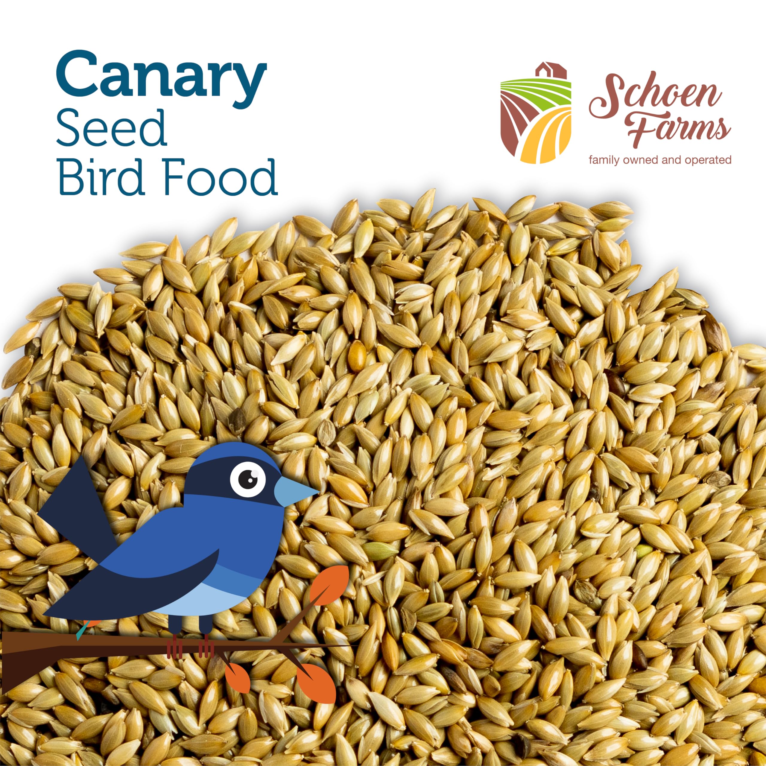 Schoen Farms Premium Canary Seed for Birds (5 LBS)