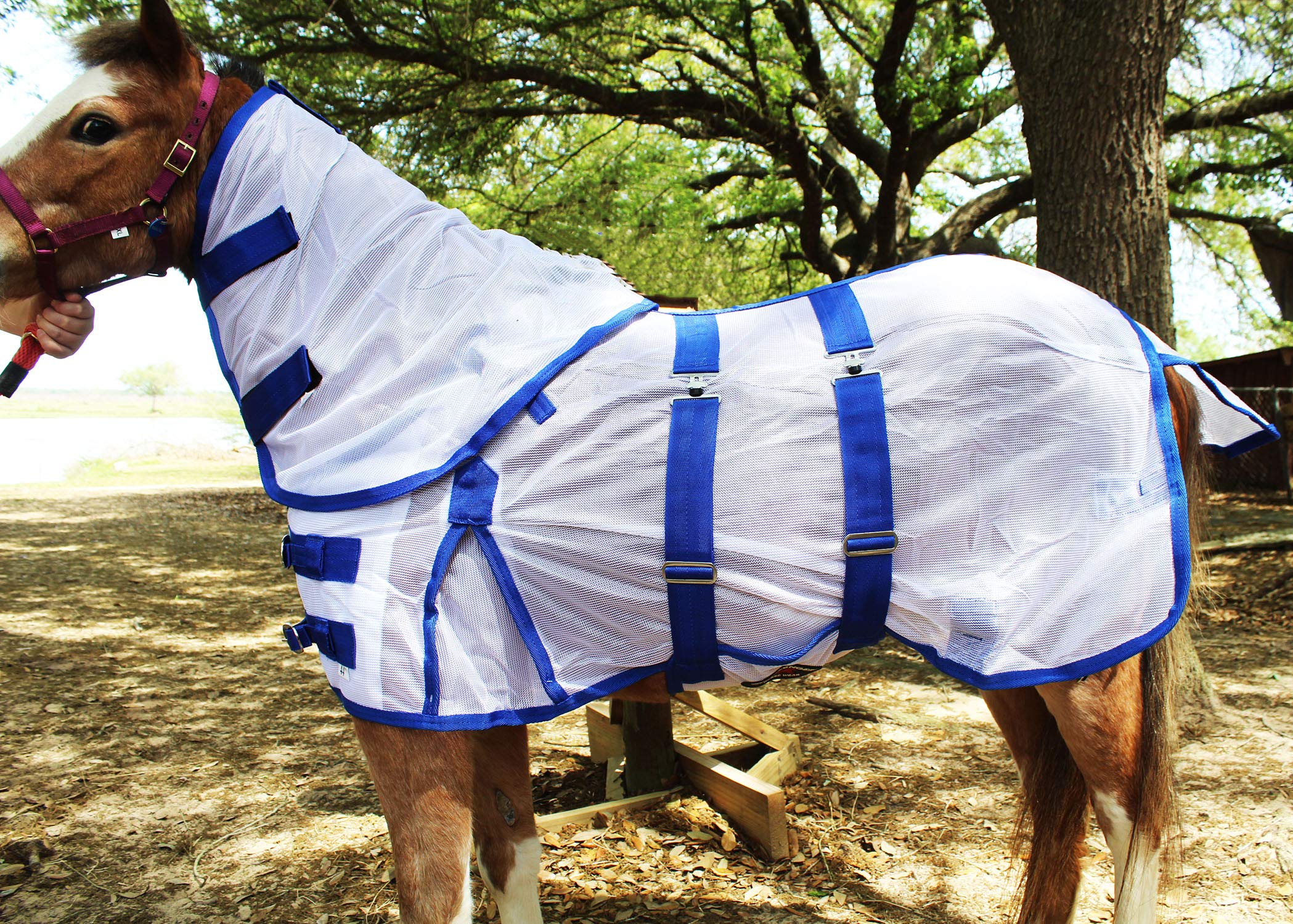 Challenger 40'' Miniature Weanling Donkey Pony Horse Foal Summer Flysheet 51807