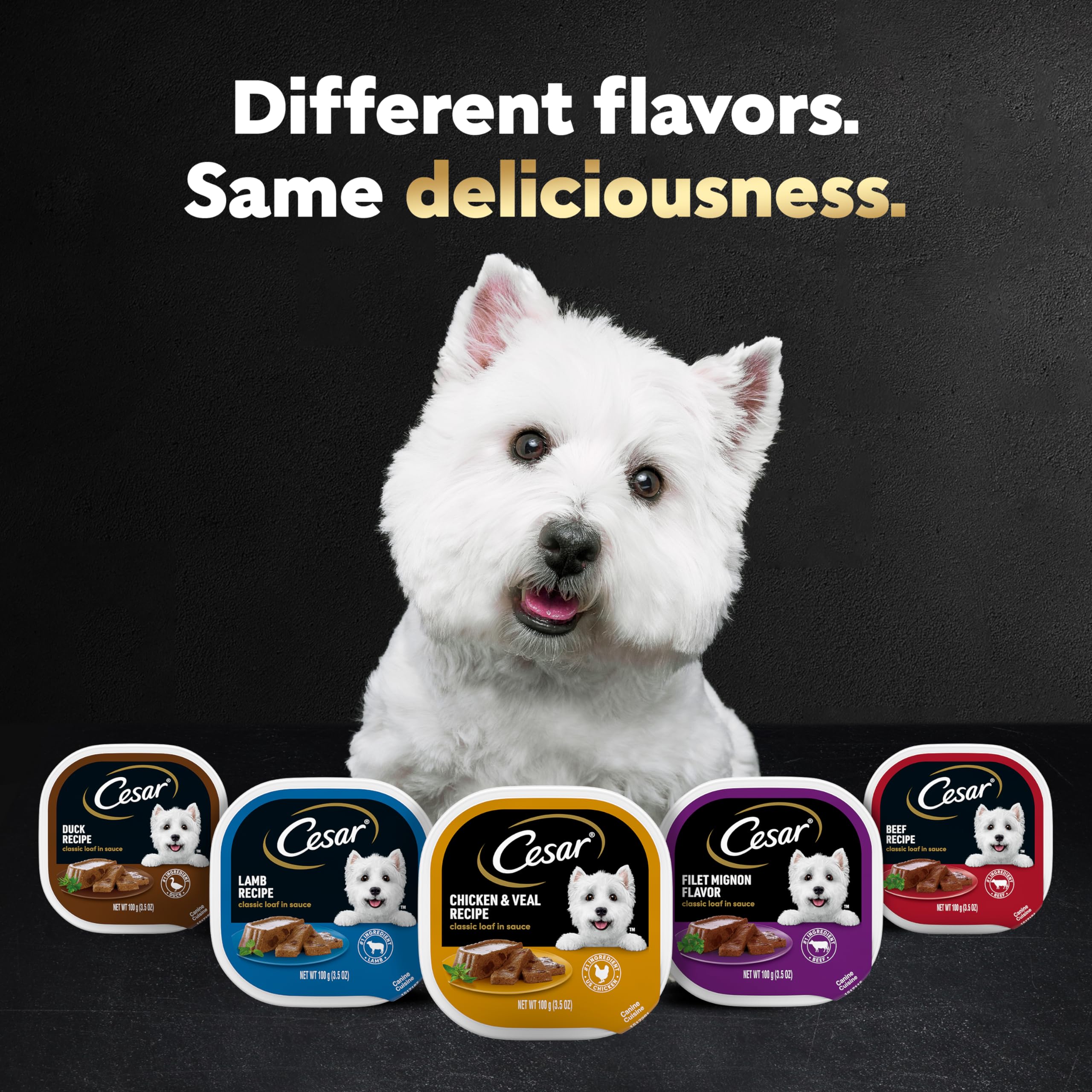 Cesar Wet Dog Food Classic Loaf in Sauce Grilled Steak and Eggs Flavor, 3.5 oz. Easy Peel Trays (24 Count, Pack of 1)