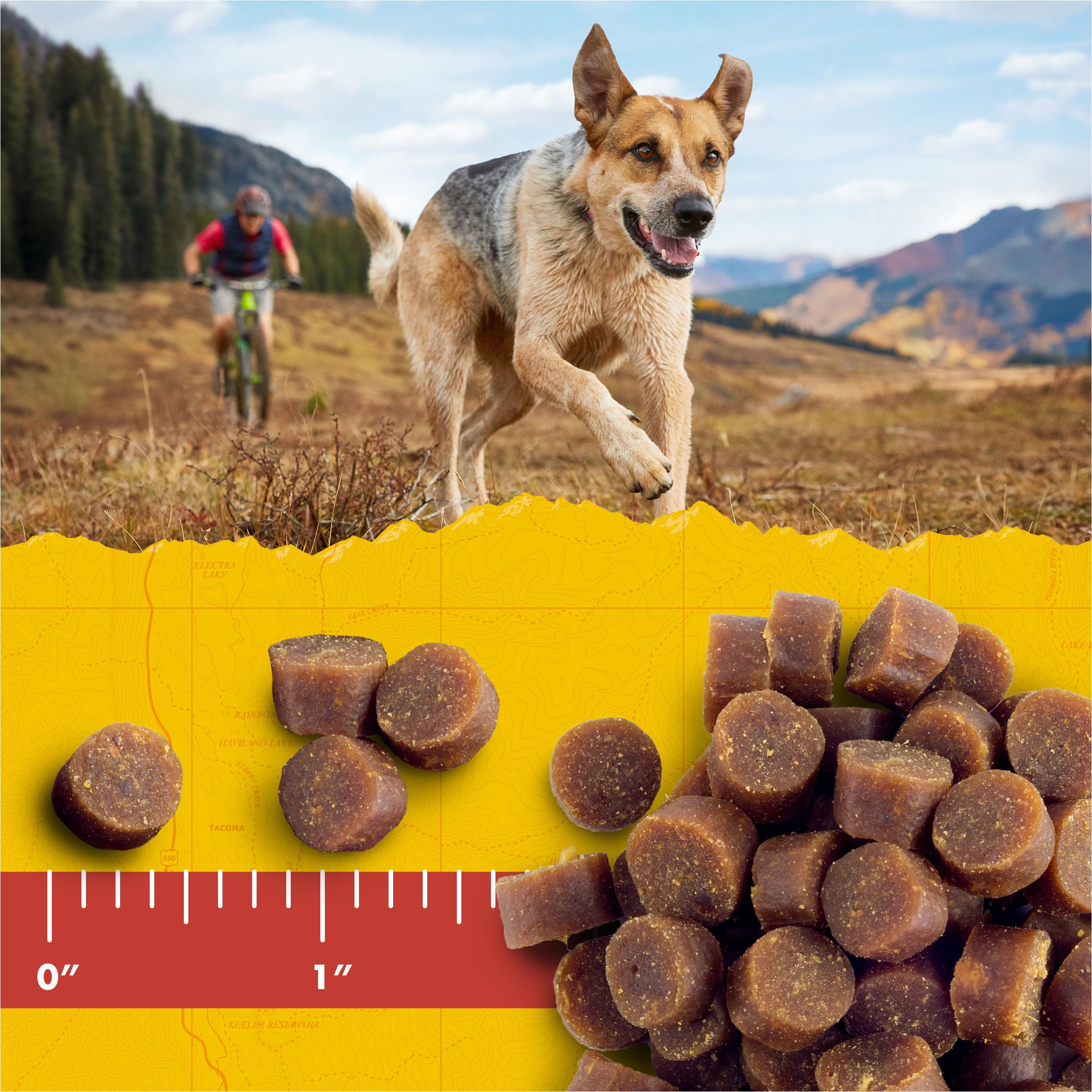 Zuke s Mini Naturals Training Dog Treats Peanut Butter and Oats Recipe - 16 Oz Bag