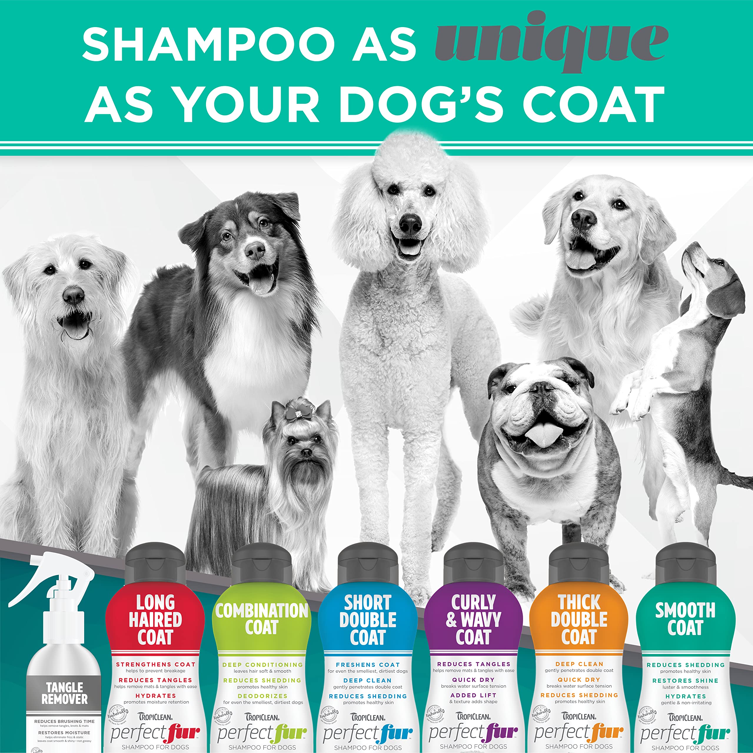 Tropiclean Perfect Fur Dog Shampoo For Shedding Control & Restoring Shine For All Breeds With A Smooth Coat | 16 Oz