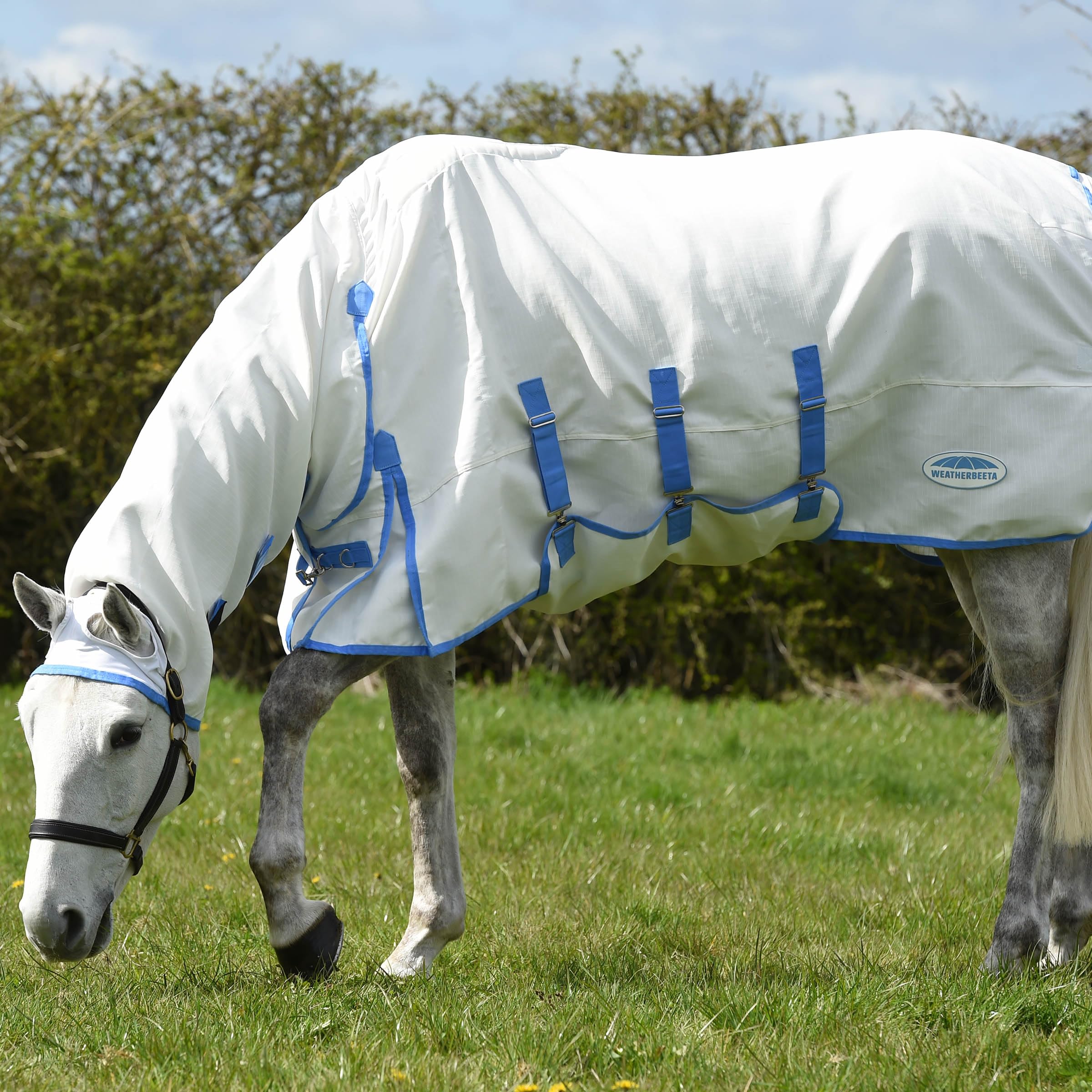 Weatherbeeta Sweet Itch Shield Combo Neck, White/Blue, 57''