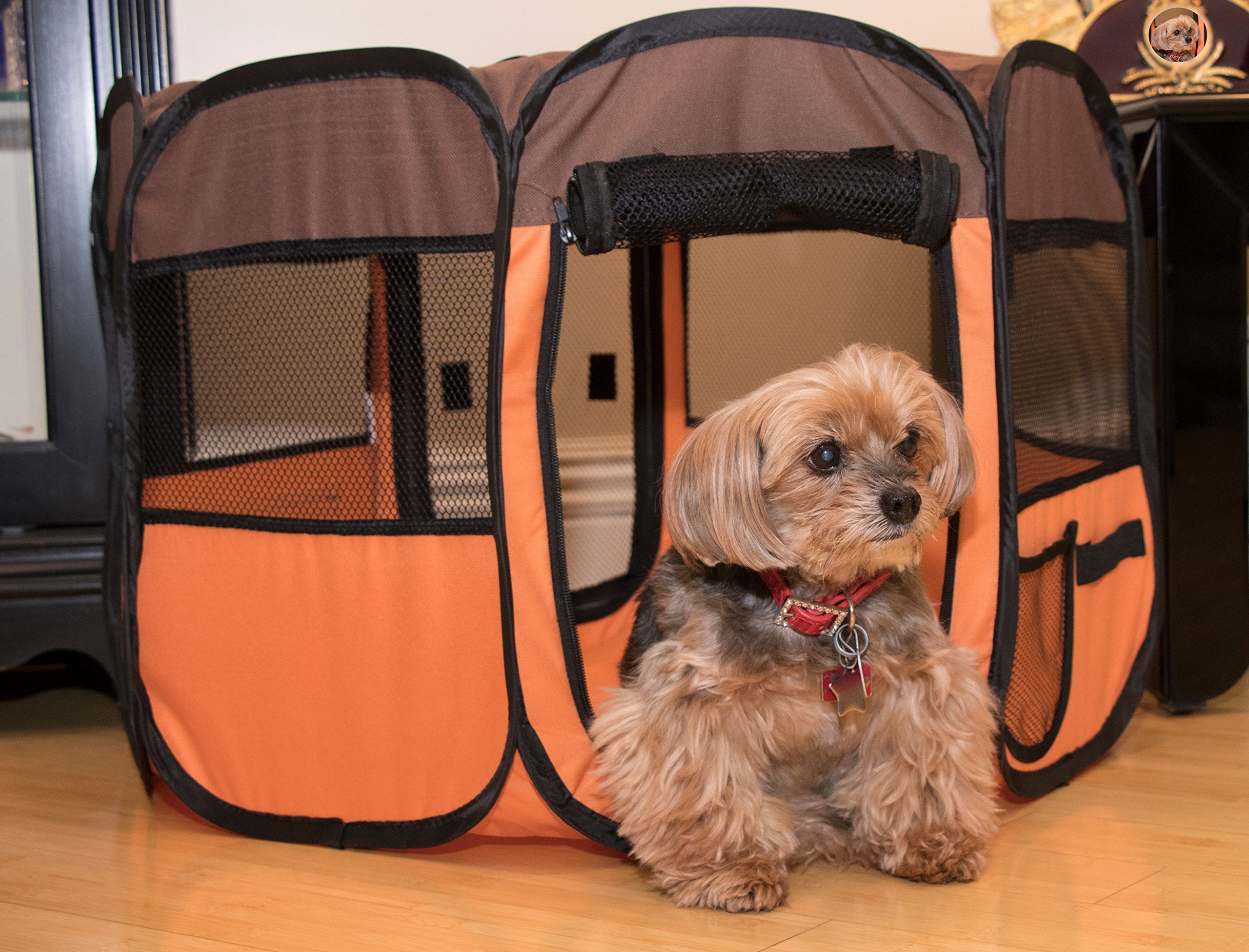 All-Terrain Lightweight Easy Folding Wire-Framed Collapsible Travel Pet Playpen(D0102H7LCKY.)