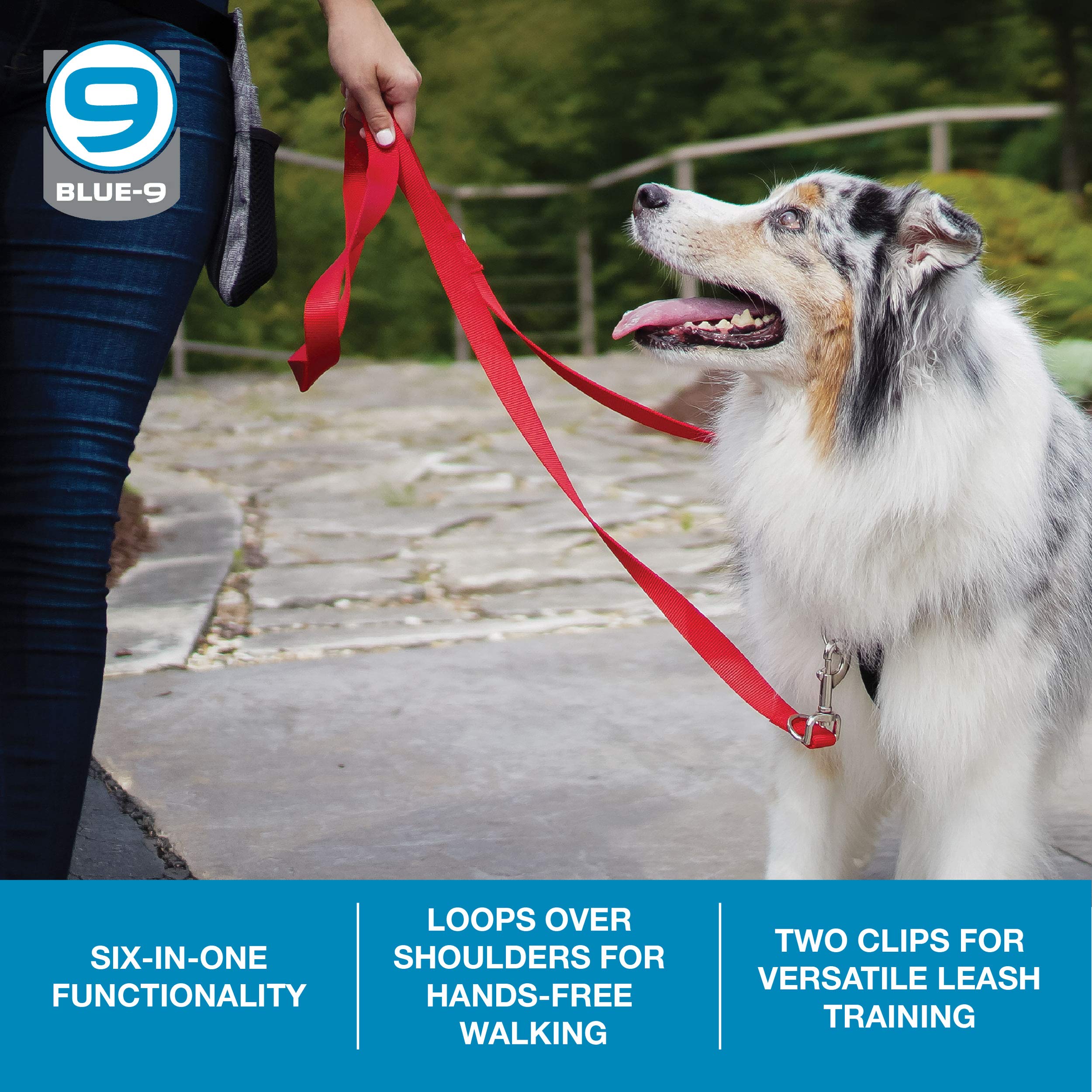 Blue-9 Multi-Function Hands Free Dog Leash, Double Attachment 6 Foot Adjustable Lead For Obedience, Running, And Agility Training (Purple, Medium Large)