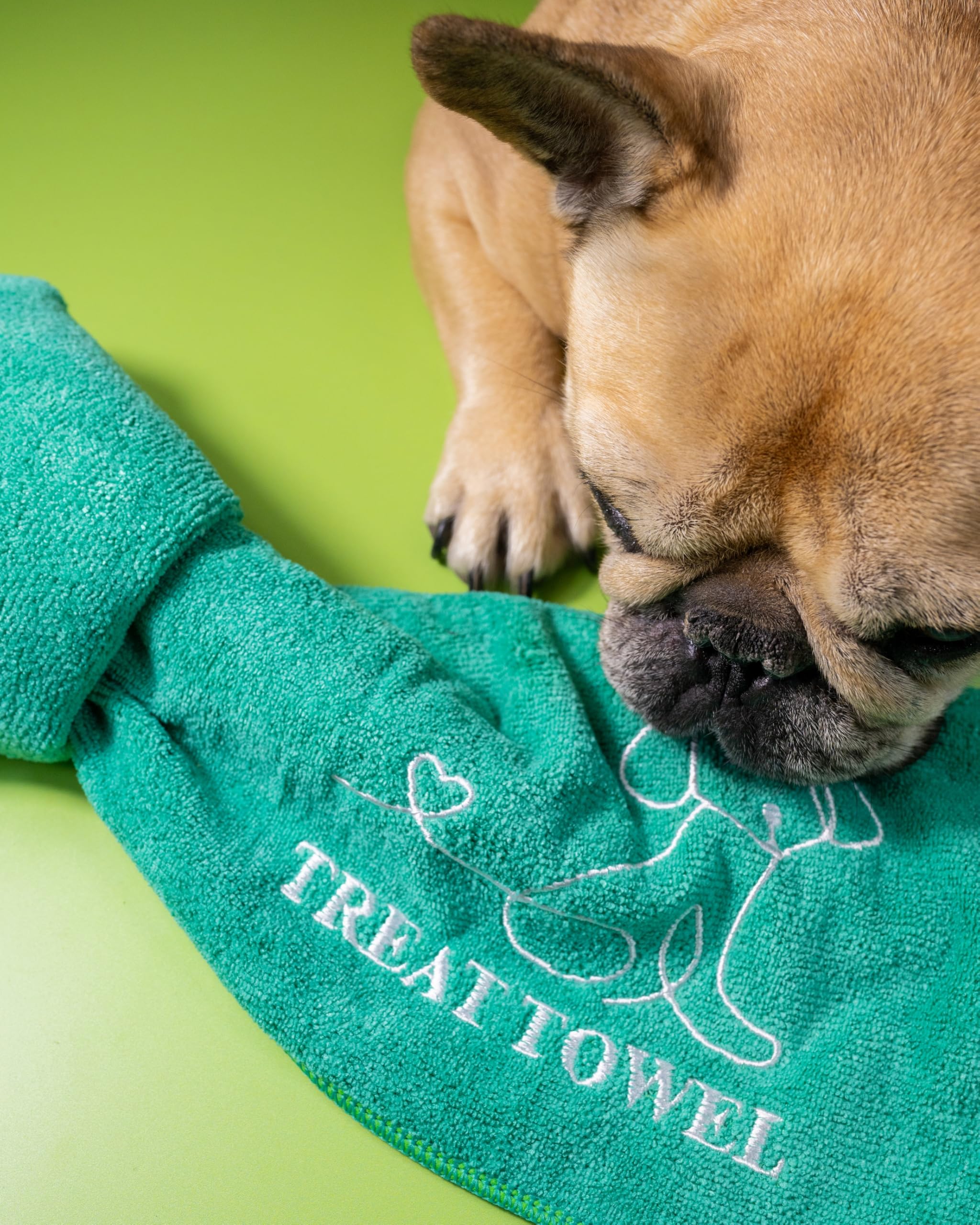 Green Treat Towel (Blue)