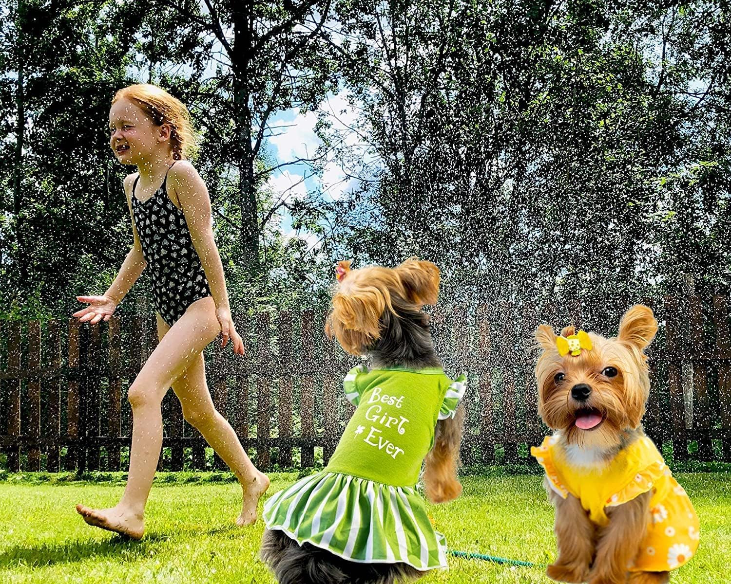 Xpudac 4 Pieces Dog Dress Girl Clothes For Small Dogs Girl Flower Puppy Dresses For Dogs Apparel Colorful Small Dog Clothes Fema