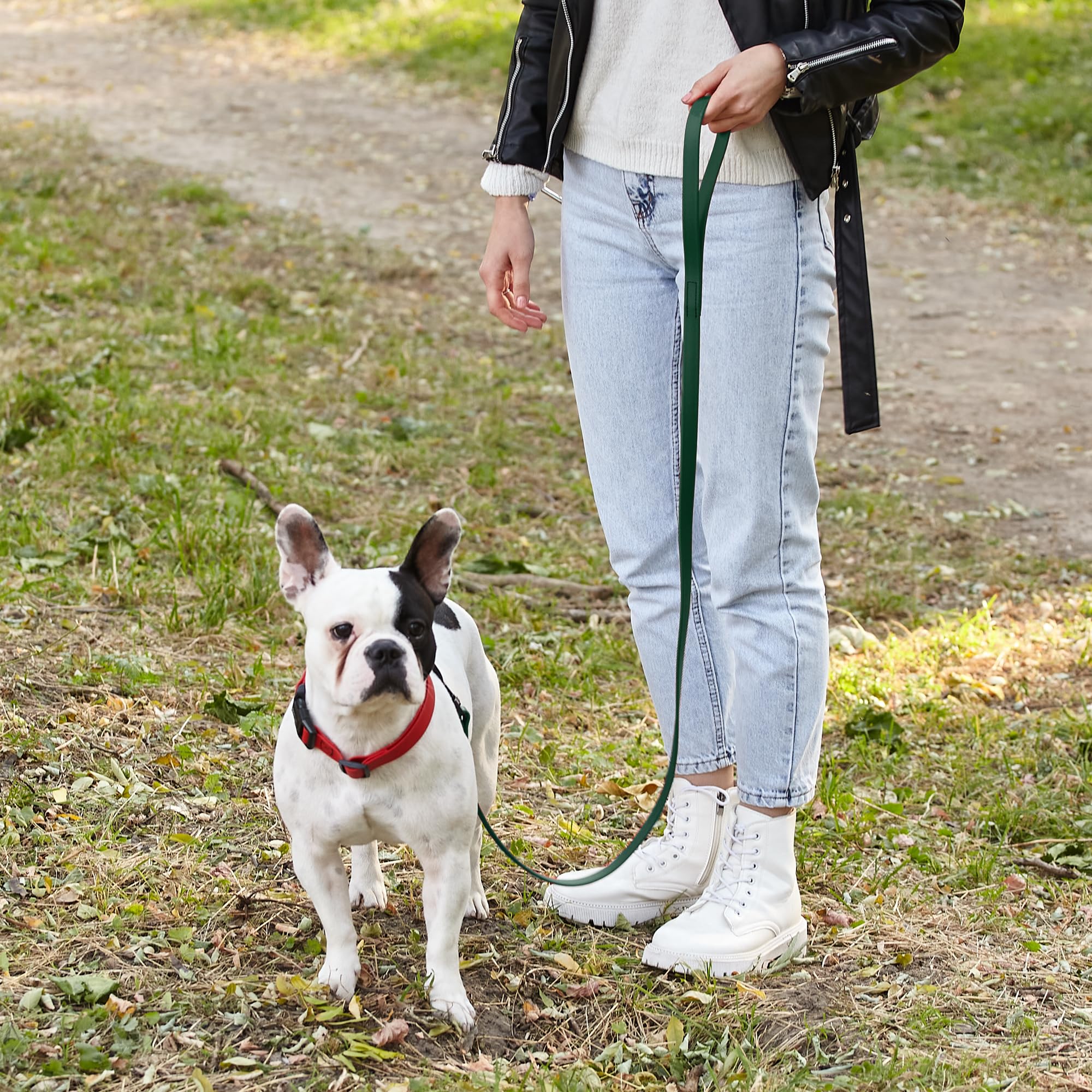 Dogline Biothane Waterproof Dog Leash Strong Coated Nylon Webbing With Black Hardware Odor-Proof Easy To Clean High Performance For Small Or Large Dogs Made In Usa 4 Or 6 Ft Lead, Hunter Green