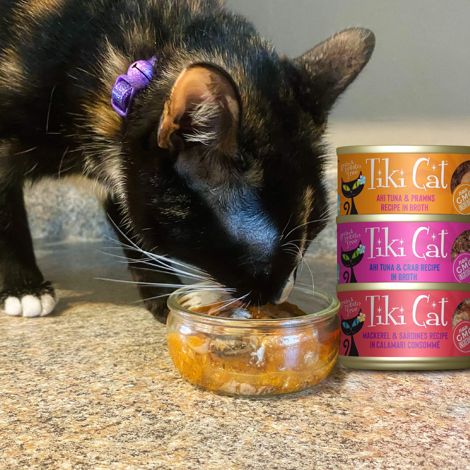 Tiki Cat Seafood Selects, Ultimate Variety Pack, 36 High Protein Servings with Real Flaked Fish, Wet Cat Food Mega Pack, 2.8 and