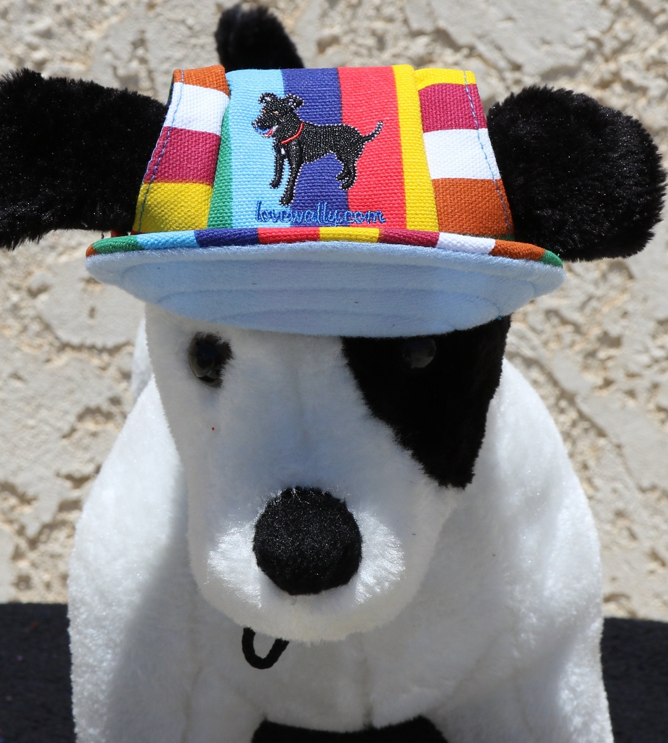 Lovewally Dog Outdoor Pet Hat Adjustable And Colors (Small, Rainbow)