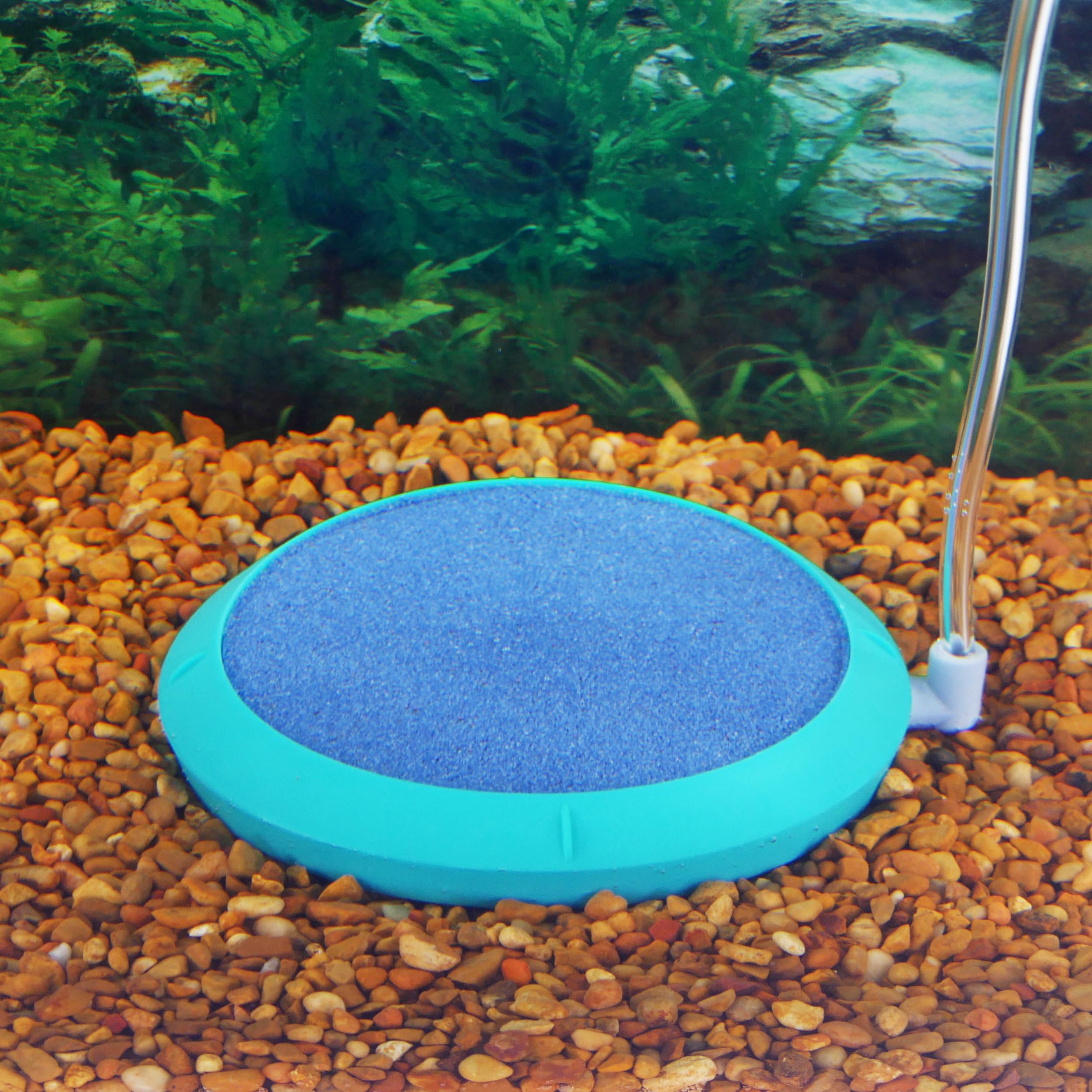 Penn-Plax Aquarium Bubble Disk Aerator - Air Pump Accessories – For Fish Tanks (Large)