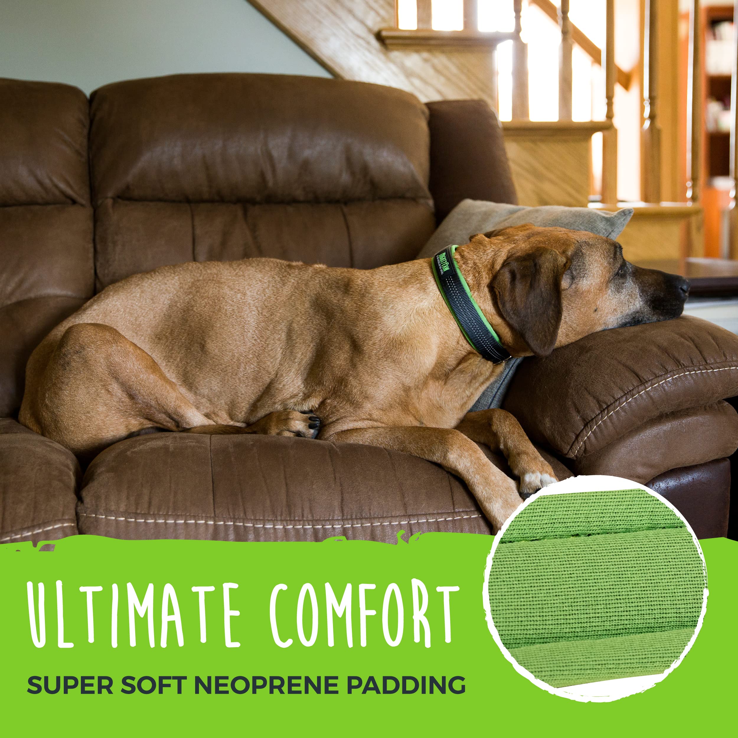 Mighty Paw Ultra Soft Dog Collar - All-Metal Adjustable Buckle For Large And Small Dogs - Super Soft Neoprene Padding For Ultima