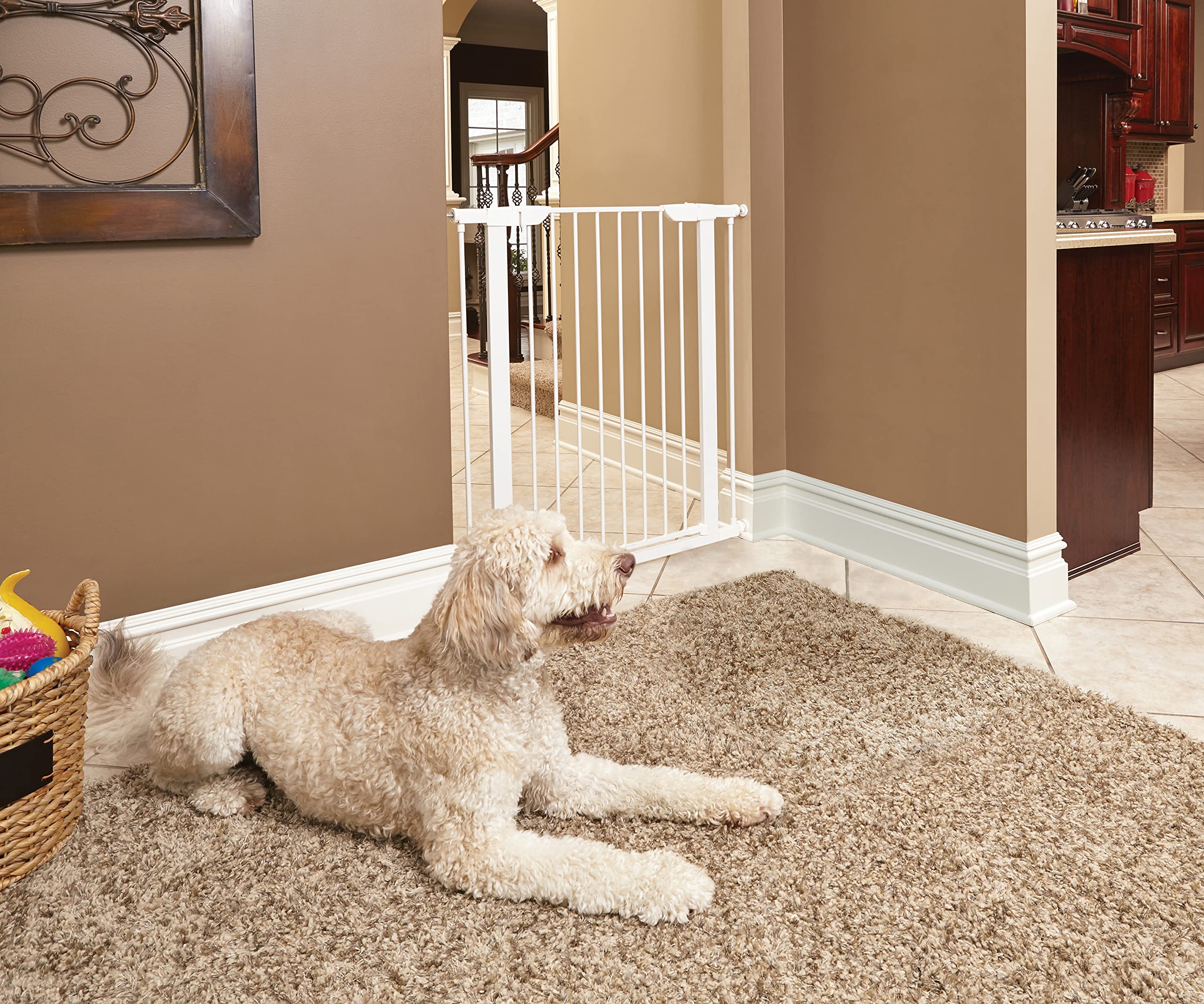 Midwest Homes For Pets 39 Inches Tall Walk-Through Steel Pet Gate, Pressure Mounted Dog Gate Measures 29 - 38 Inches Wide & Includes Two 3-Inch-Wide Extensions, White