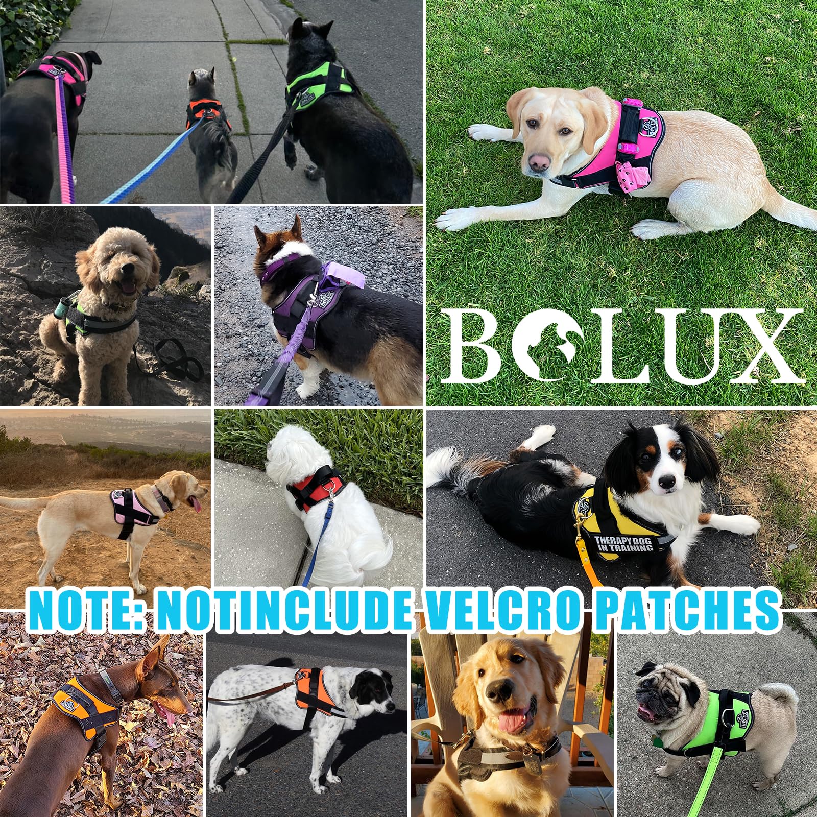 Bolux Dog Harness, No-Pull Reflective Dog Vest, Breathable Adjustable Pet Harness With Handle For Outdoor Walking - No More Pulling, Tugging Or Choking (Oceanicblue, Large (Pack Of 1))