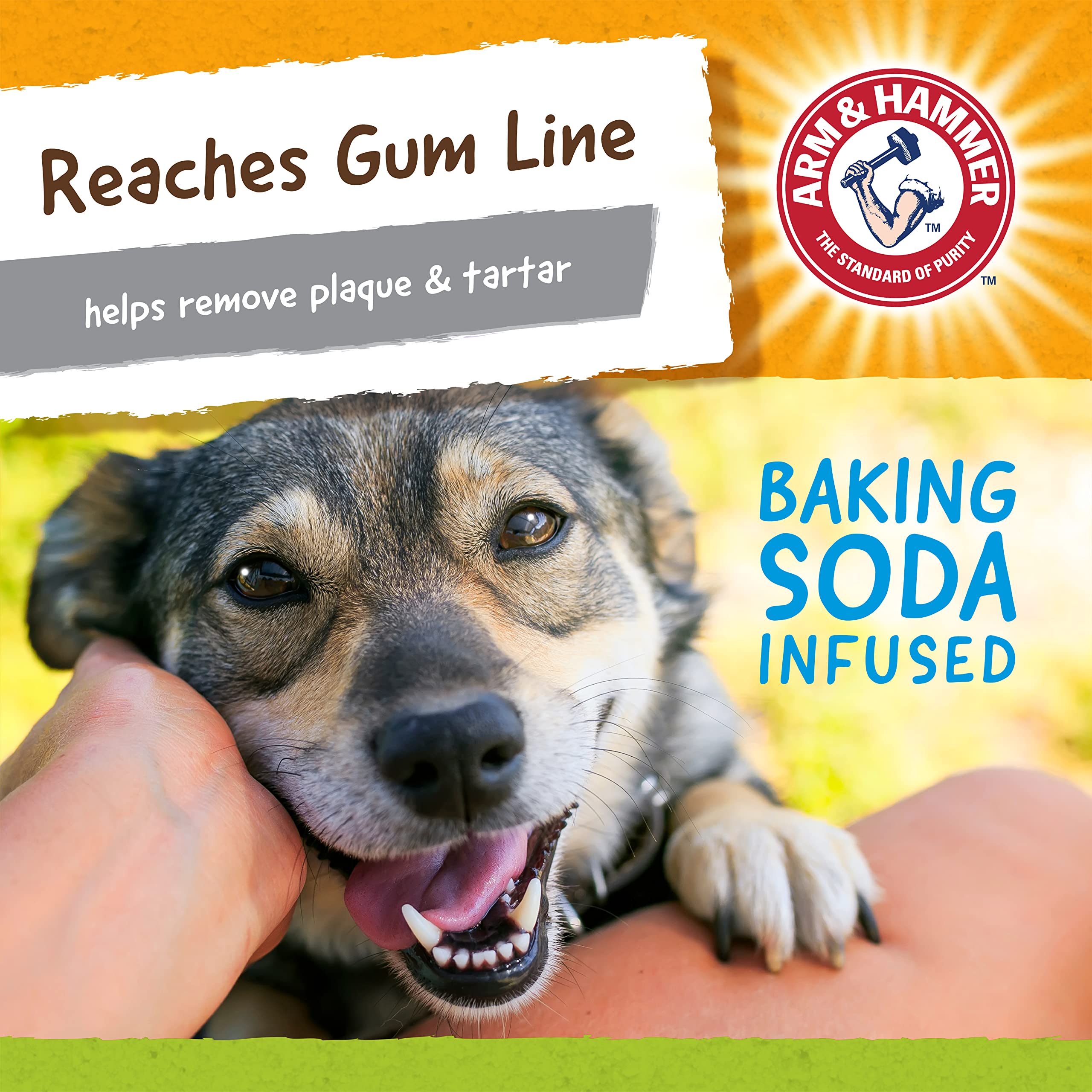 Arm & Hammer For Pets Nubbies Duality Bone Dental Dog Toy - Best Dog Chew Toy For Moderate Chewers - Helps Reduce Plaque & Tarta