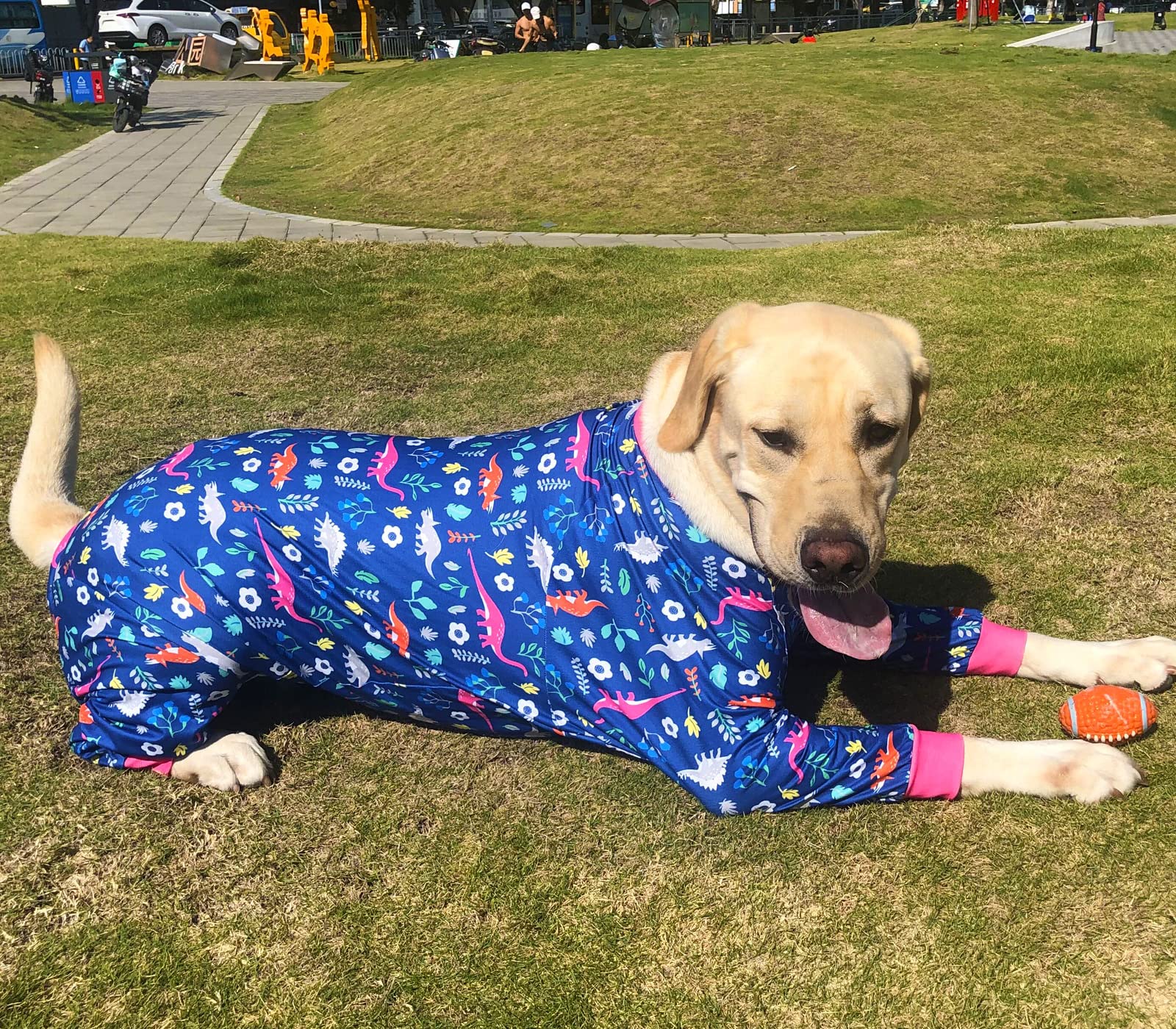 Pripre Dinosaur Printed Dog Recovery Suit - Long Sleeve Shirts Soft Pajamas Onesie Jumpsuit Prevent Licking & Shedding - Navy, 2