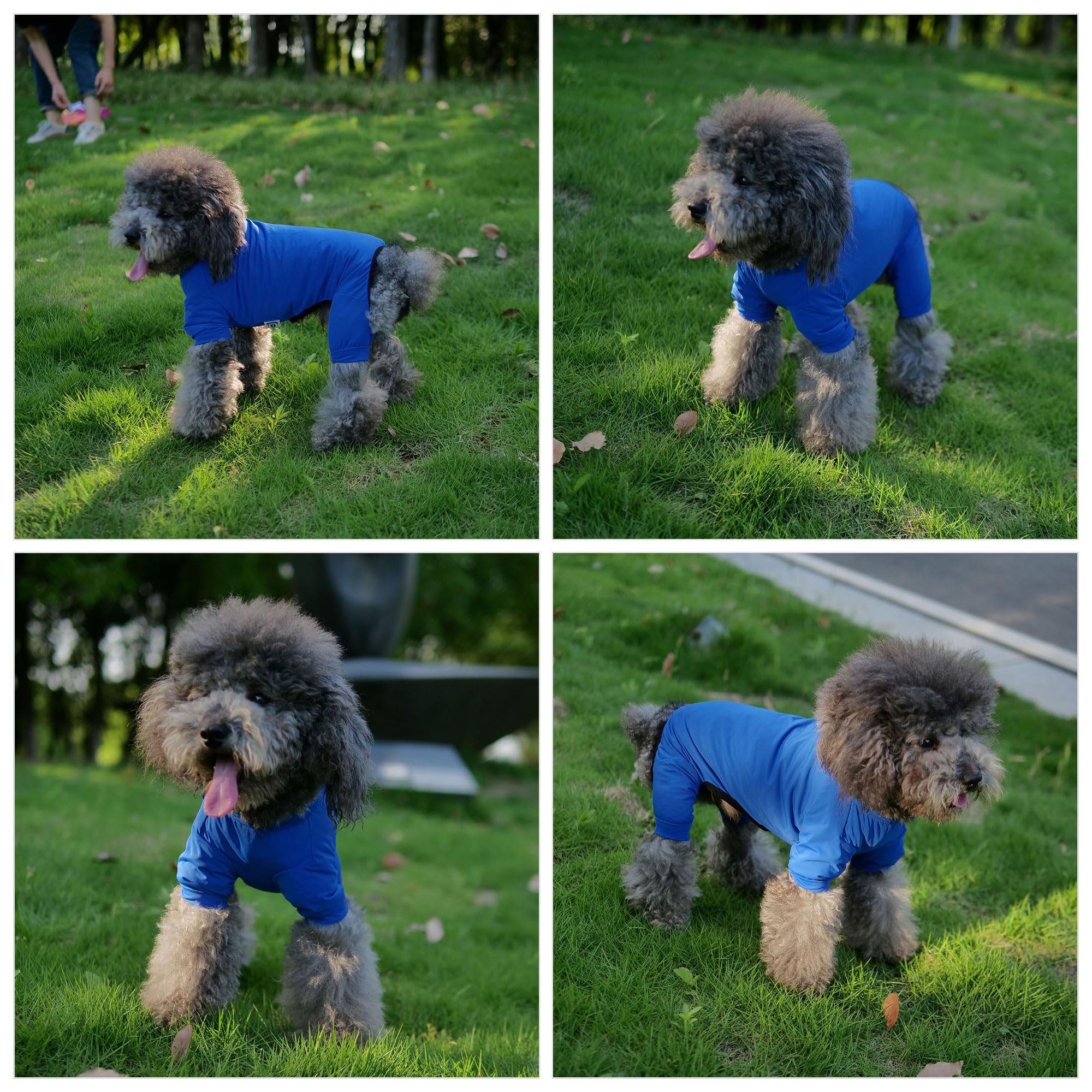 Lovelonglong Dog Jumpsuit With Uv Protection And Quick-Dry Fabric For Spring Summer Pet Pajamas Royel Blue S