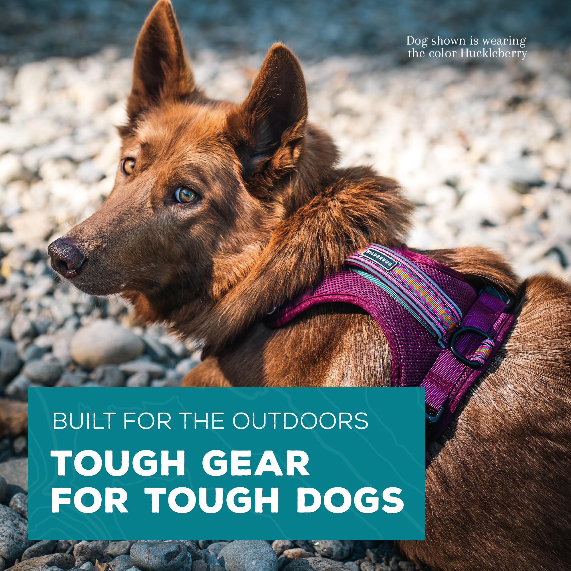 Wilderdog Lightweight Dog Harness With Reflective Straps - Large - Huckleberry