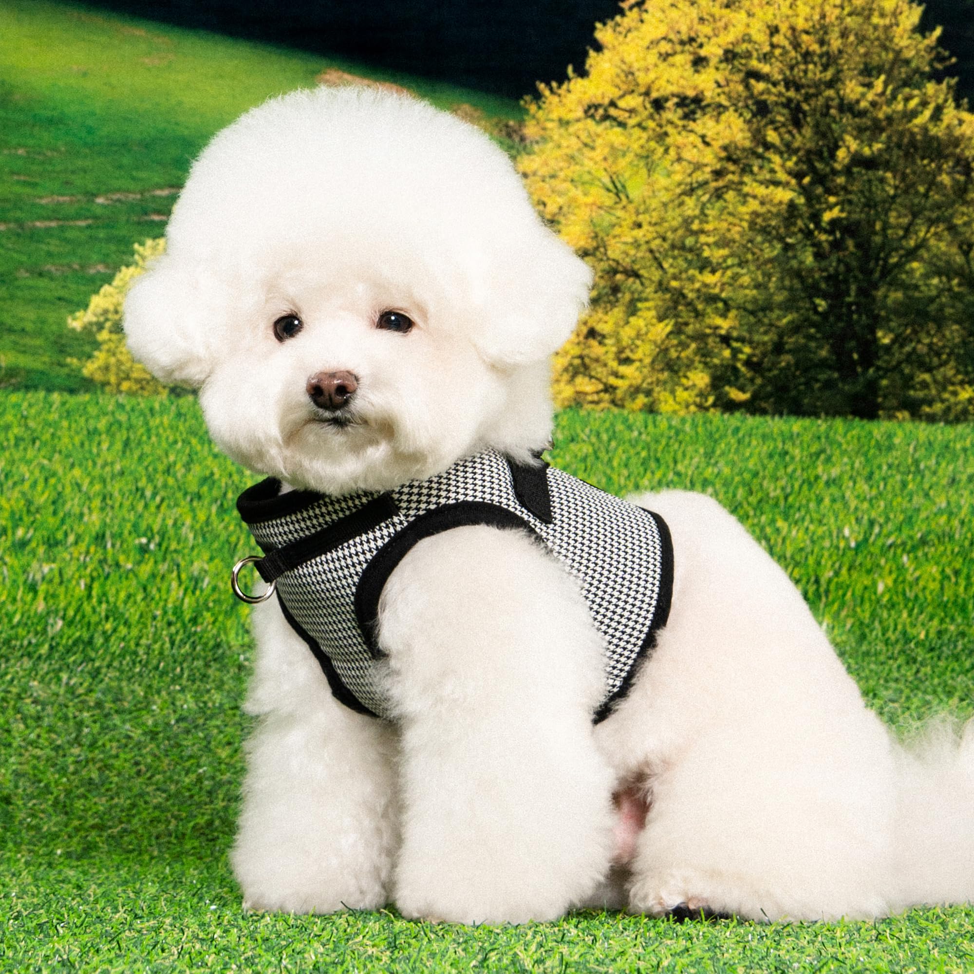 Puppia Amatus Dog Vest Harness B (Step-In) Fashionable Houndstooth Pattern Spring Summer Harness For Small And Medium Dogs, Blac