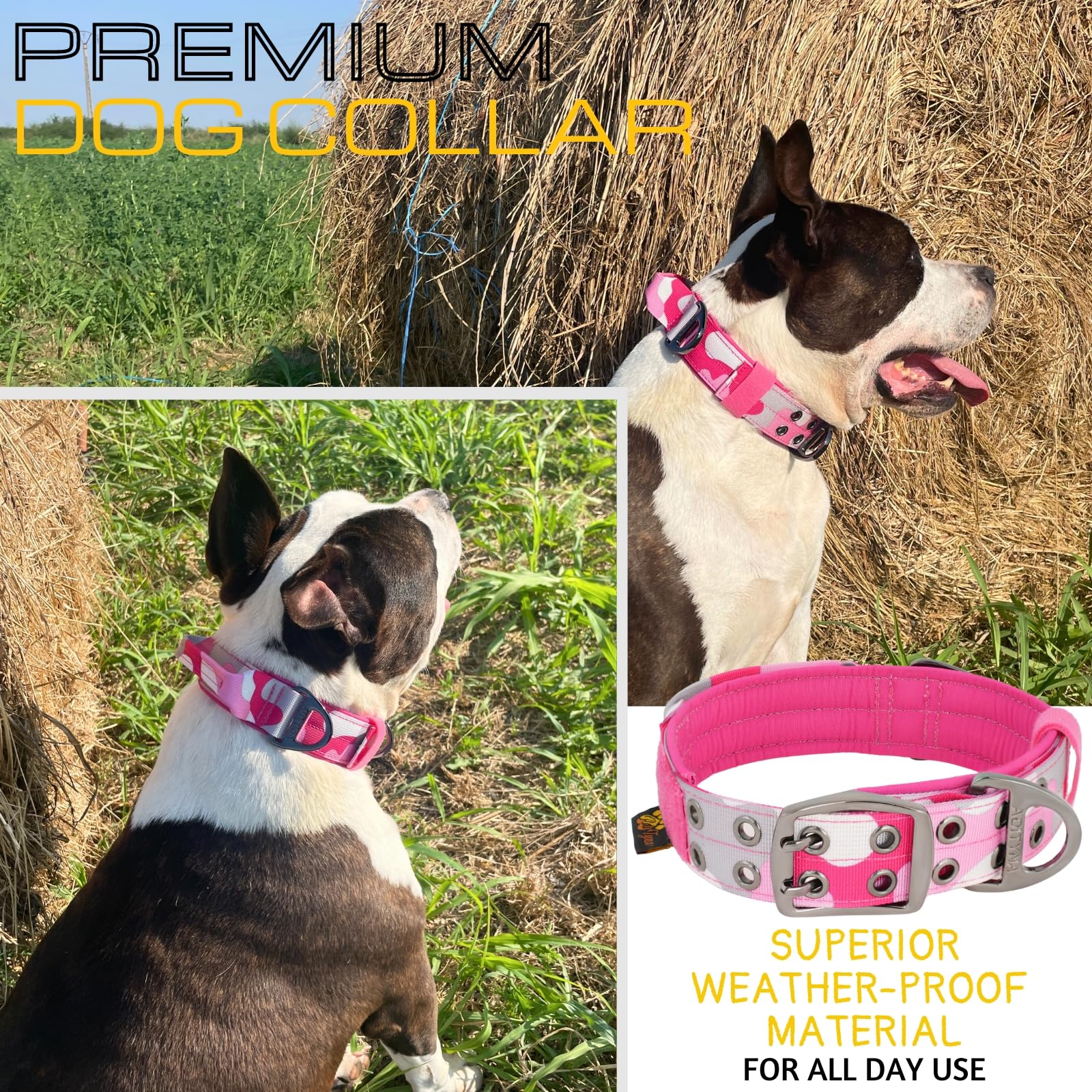 Adityna Heavy Duty Dog Collar For Medium Dogs - Camo Pink Collar With Handle For Training, And Walking - Wide, Thick, Tactical,