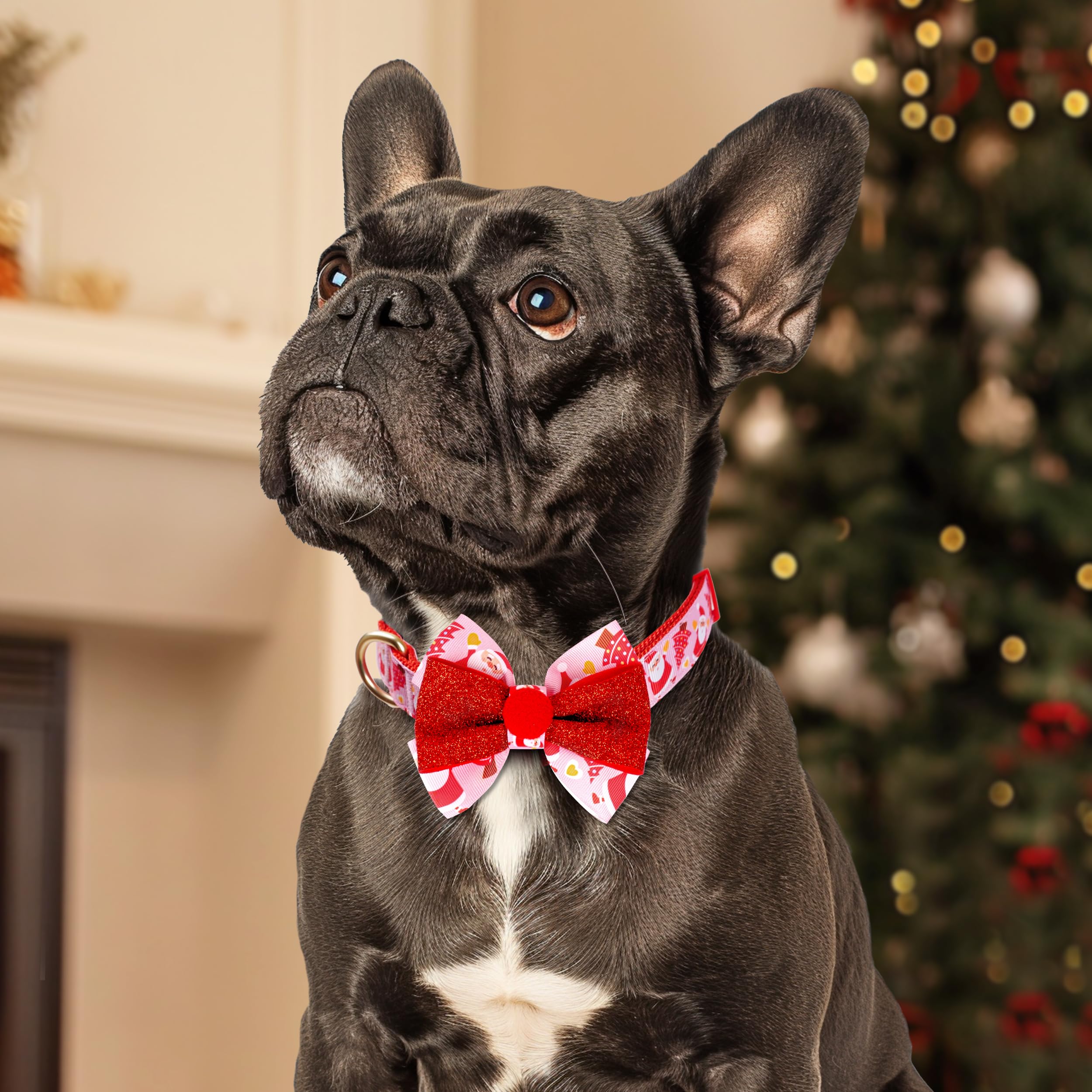 Azuza Christmas Dog Collar With Santa Print, Removable Red & Green Bowtie, Adjustable For Small Dogs