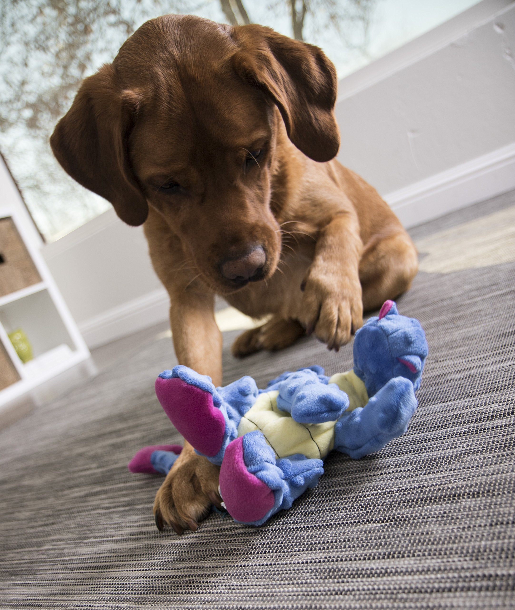 goDog Bubble Plush Dragon Dog Toy - Large, Squeaky, Chew Guard Technology, Periwinkle