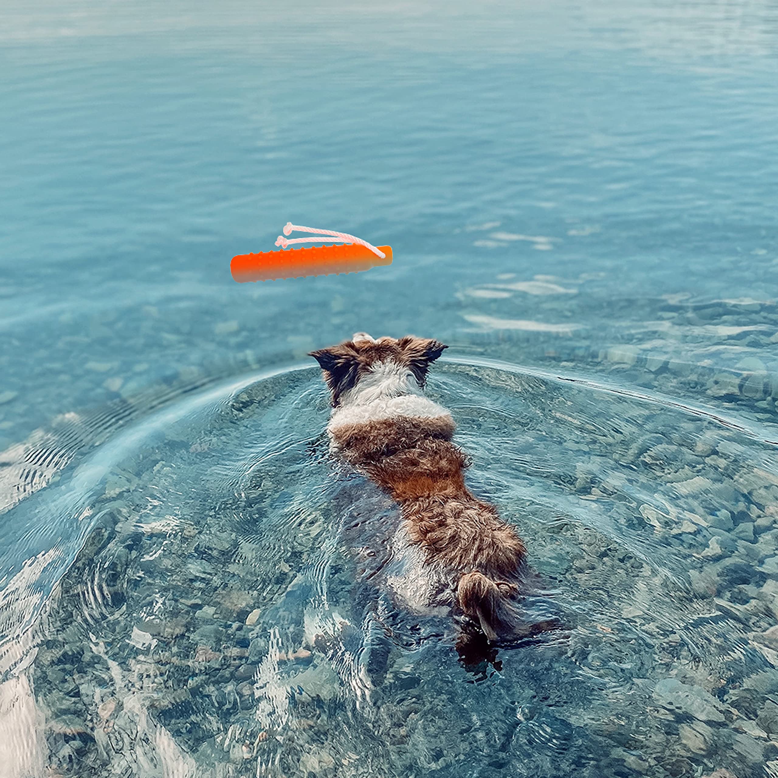 Aticnech Dog Water Toy - Interactive Fetch Dog Toys Float On Water Pool For Training Retrieving Chasing Bumper Outdoor - 2 Pack Dog Toys With Rope For Small Medium Large Dog