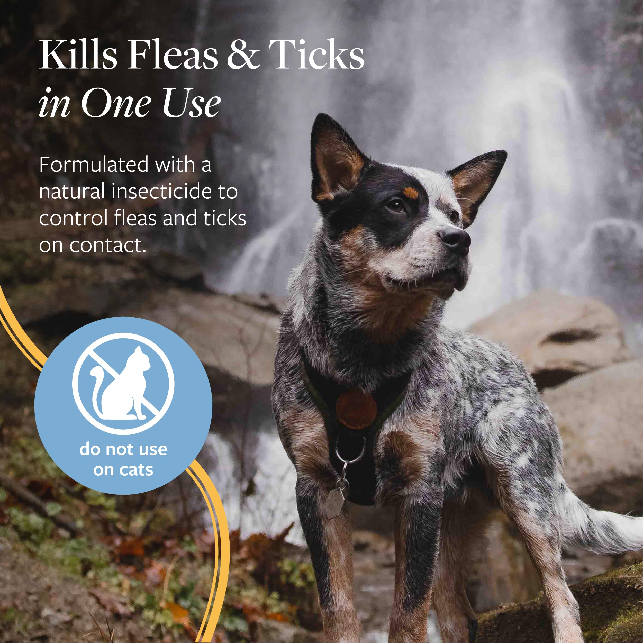Veterinary Formula Flea and Tick Spray for Dogs, 8 oz - Easy-to-Use Dog Flea Spray, Kills on Contact, Prevents Egg & Larval Deve