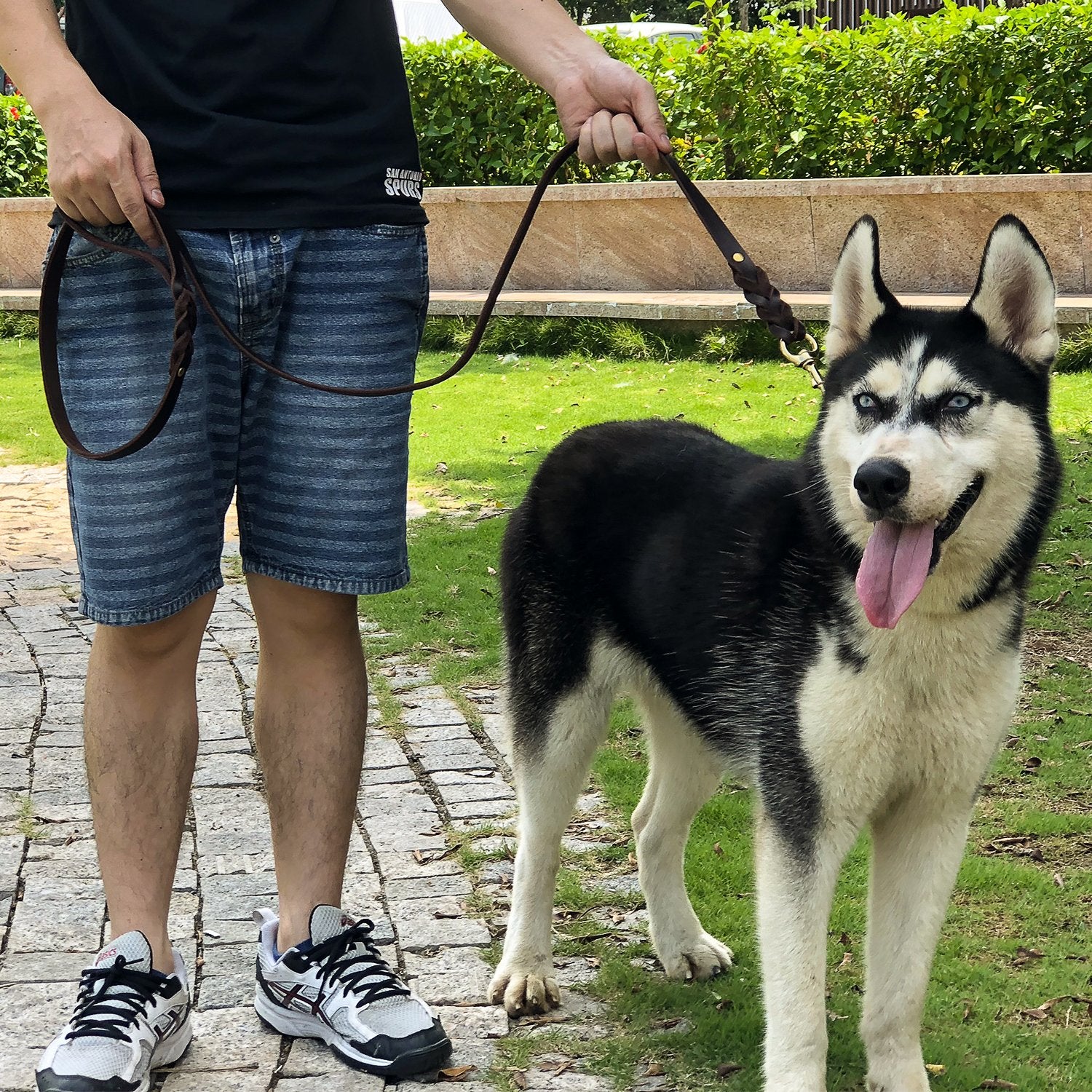 FAIRWIN Leather Dog Leash - 6ft Braided Heavy Duty for Large Medium Small Dogs, Black, Model FW004B