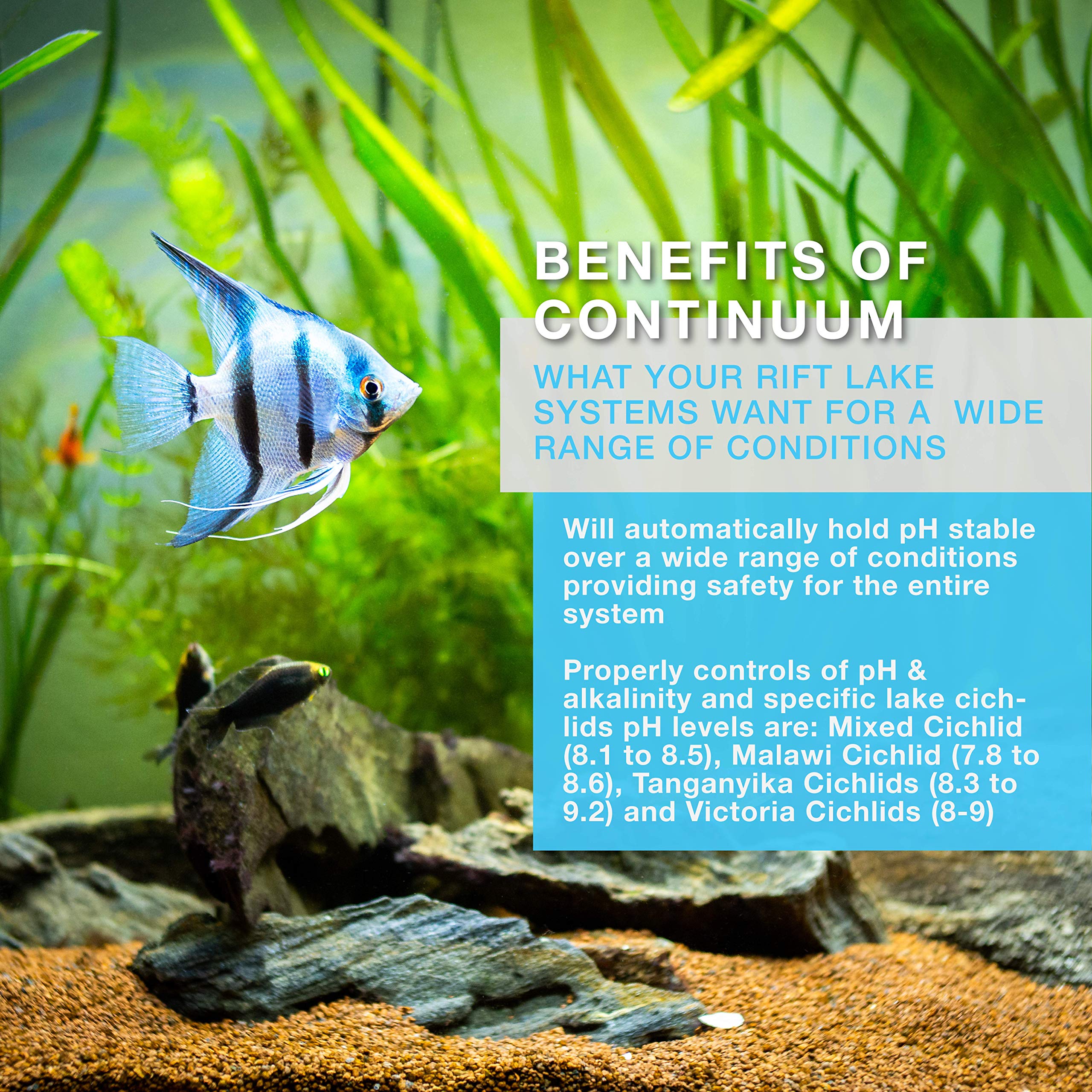 Continuum Aquatics Basis Victoria & Malawi Cichlid Buffer - Alkalinity Boosting pH & KH Control System for Rift Lake Cichlid Aqu