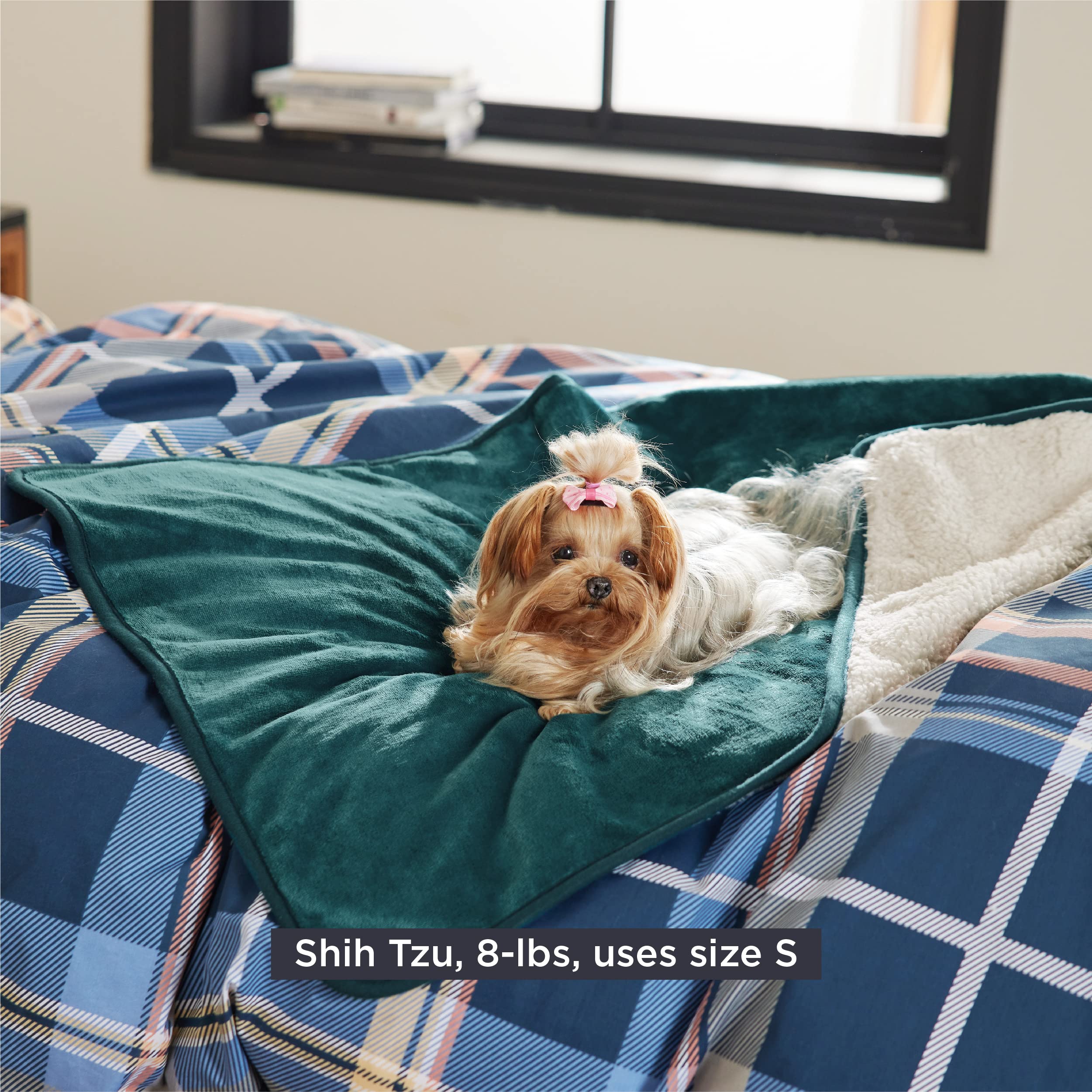 Bedsure Cat Blanket For Indoor Cats - Waterproof Calming Cat Blankets For Kitten, Sherpa Fleece Pet Blanket, Soft Plush Reversible Throw Furniture Protector, 35'X25', Green