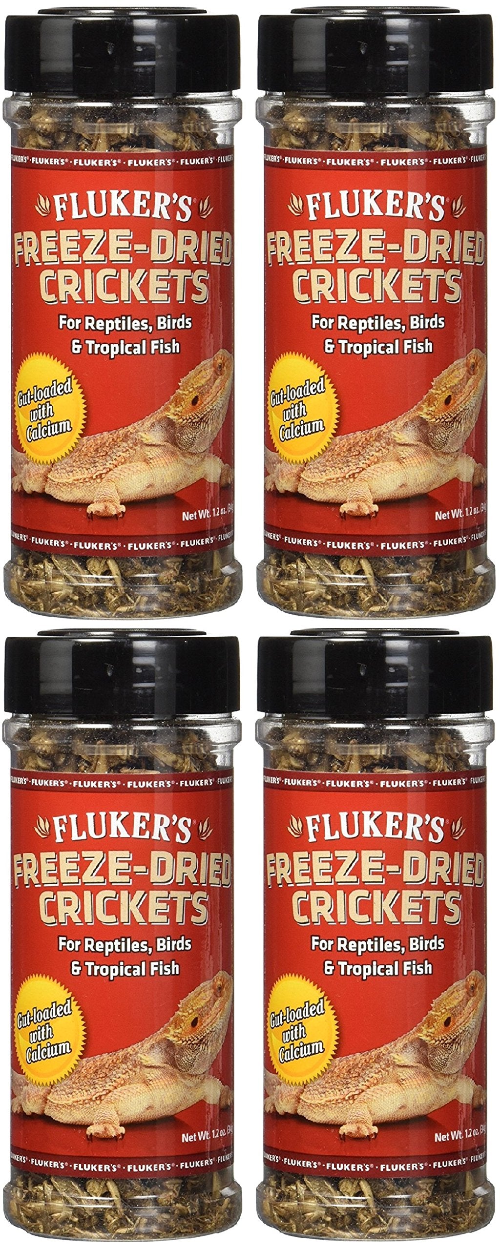 FREEZE DRIED CRICKETS