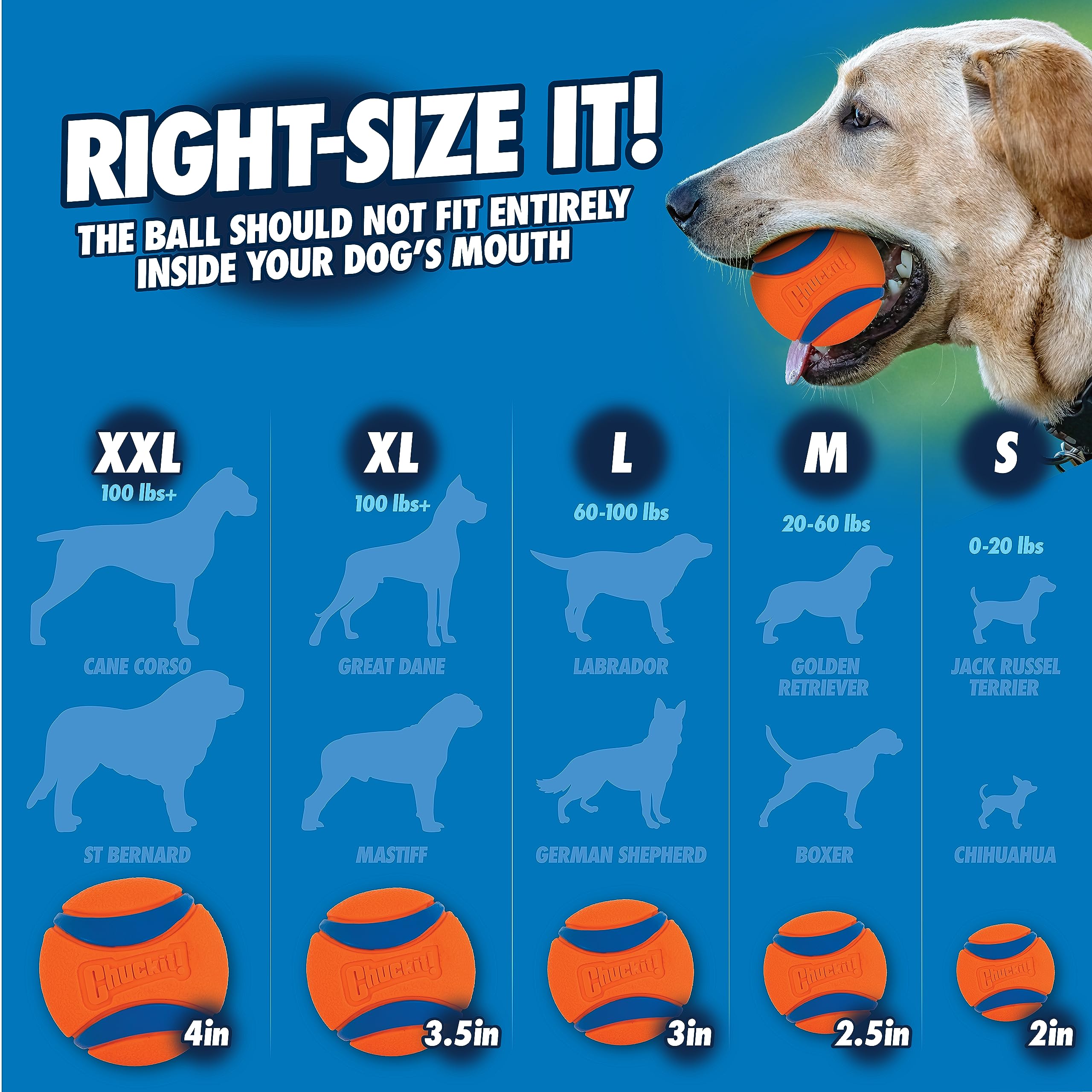 Chuckit! Fetch & Fold 25M Dog Ball Launcher, 25' Length, Includes Medium Ball (2.5') For Dogs 20-60 Pounds